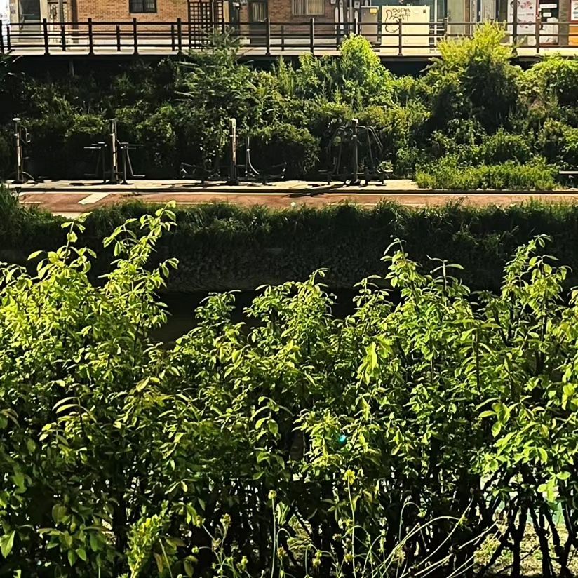 우리 강아지 귀여워
어두우면 잘 안 보여요❤️🤭❤️
soondi_s_life