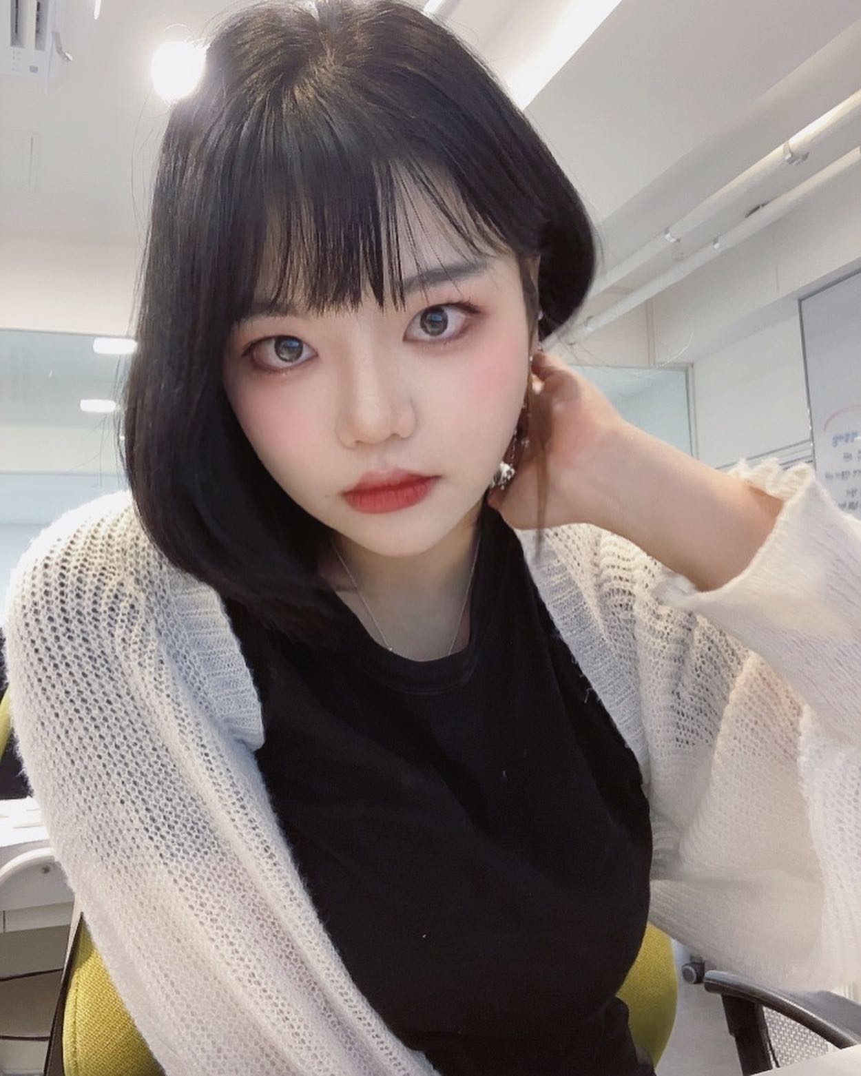 강아지도 하고 고양이도 하지 뭐