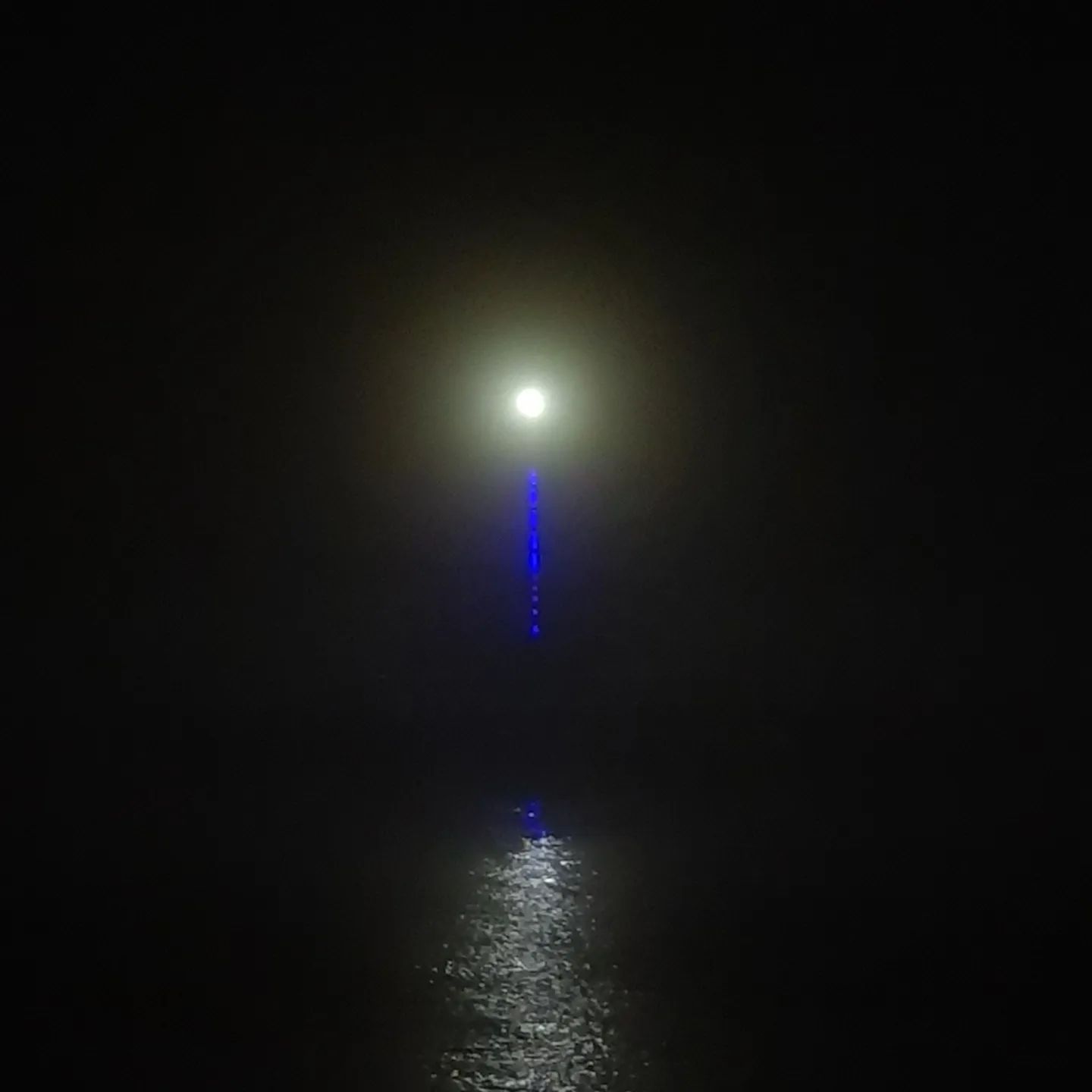 🌊

시원짭짤한 공기