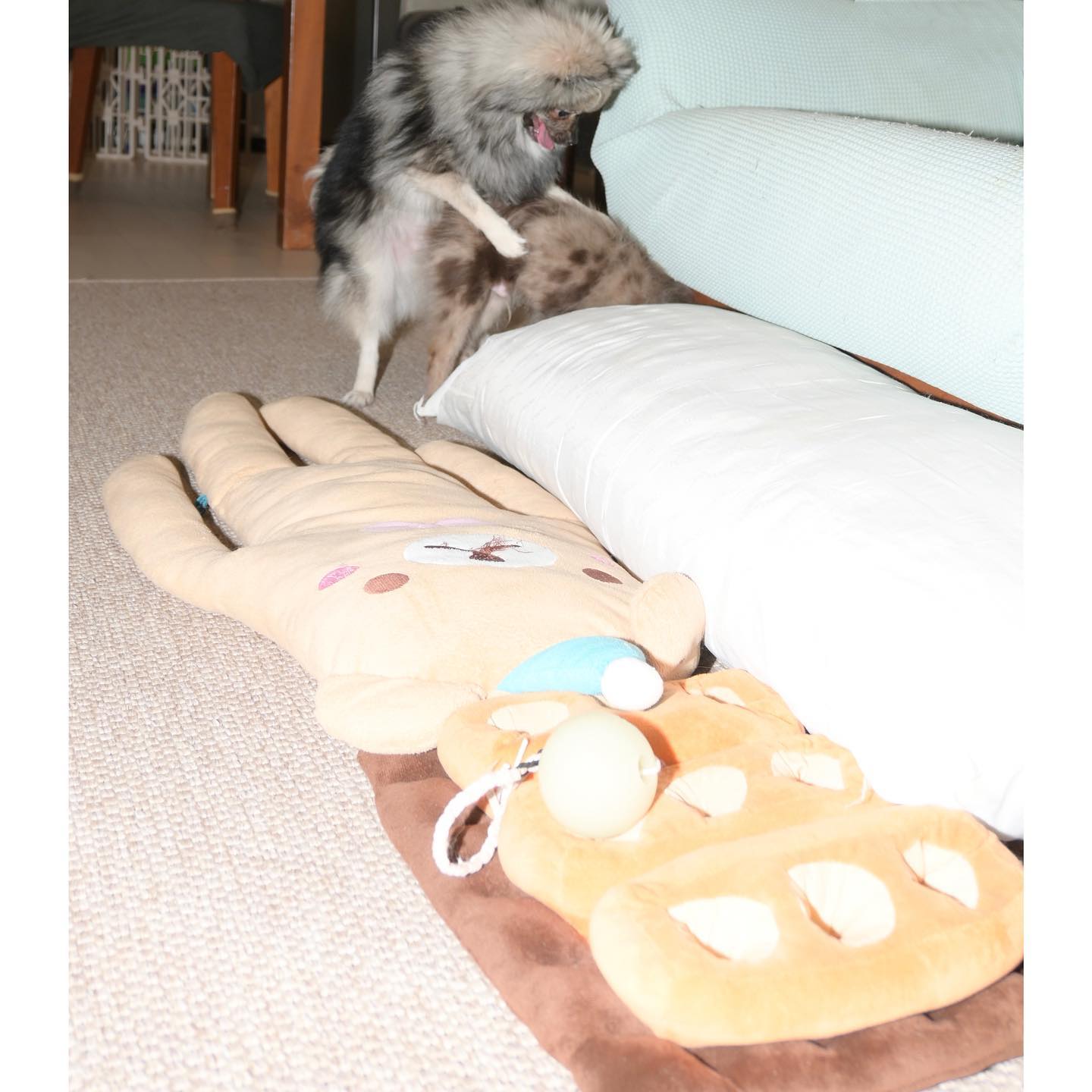 𝓗𝓮𝓻𝓶𝓪𝓷𝓷 𝓪𝓷𝓭 𝓗𝓮𝓼𝓼𝓮'𝓼 𝓗𝓲𝓭𝓮 𝓪𝓷𝓭 𝓢𝓮𝓮𝓴 4. 🐕🛋️🐑 [ 23/5/21 18:26 ]