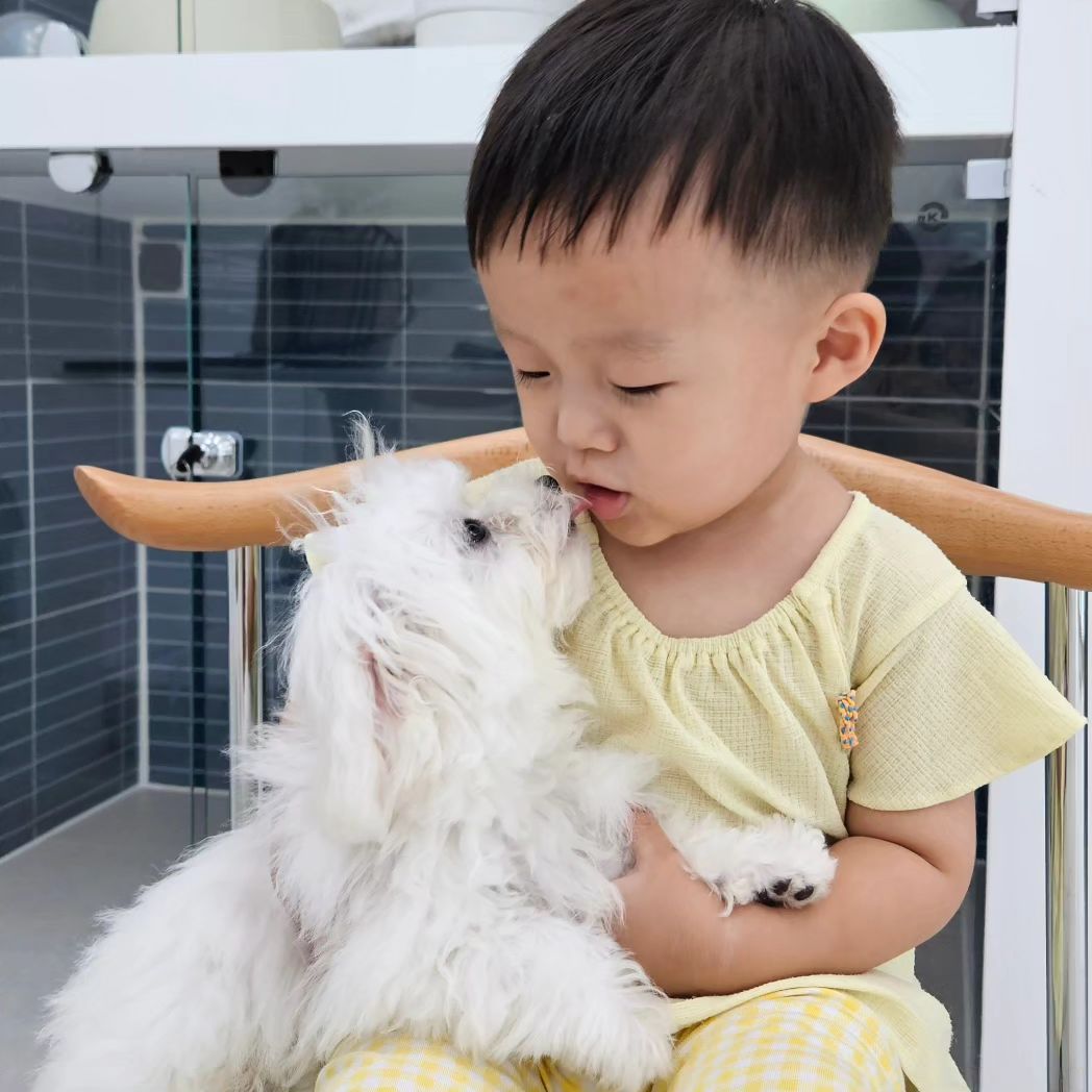 #생후774일 

조리원친구네 애견미용샵 오픈했다고해서
놀러가본 뽐내시개 애견미용샵🐶

로거니 좋아하는 강아지랑 재미나게놀고와써요😊

대구 사수동 애견미용샵 뽐내시개 놀러오세용❤️

✔️금호서한이다음 상가 뽐내시개
✔️0507-1339-7351
✔️매일 오전10시~오후7시

#대구애견미용 #사수동애견미용 #대구포메가위컷 
#대구비숑가위컷 #대구애견호텔 #사수동애견호텔

#해피오늘0716