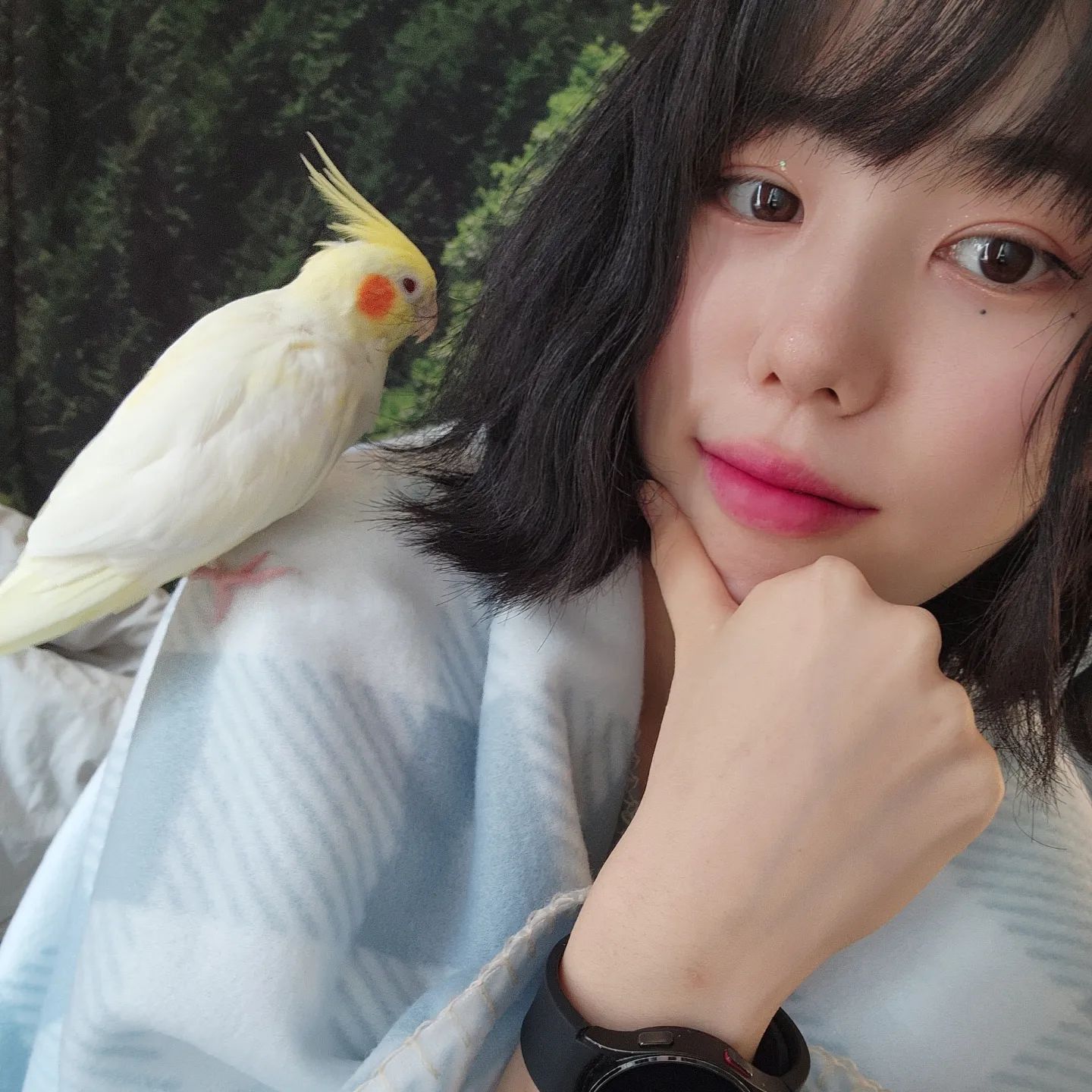 초반에 털 많이 빠져있고 병 걸려서 병원 다니느라 고생했는데 아픈 거 잘 버텨주고 이겨내서 털도 많이 자라고 이젠 잘 놀아서 다행💕 서로 고생해따 울 오월이🐦

#앵무새 #앵무새스타그램 #왕관앵무