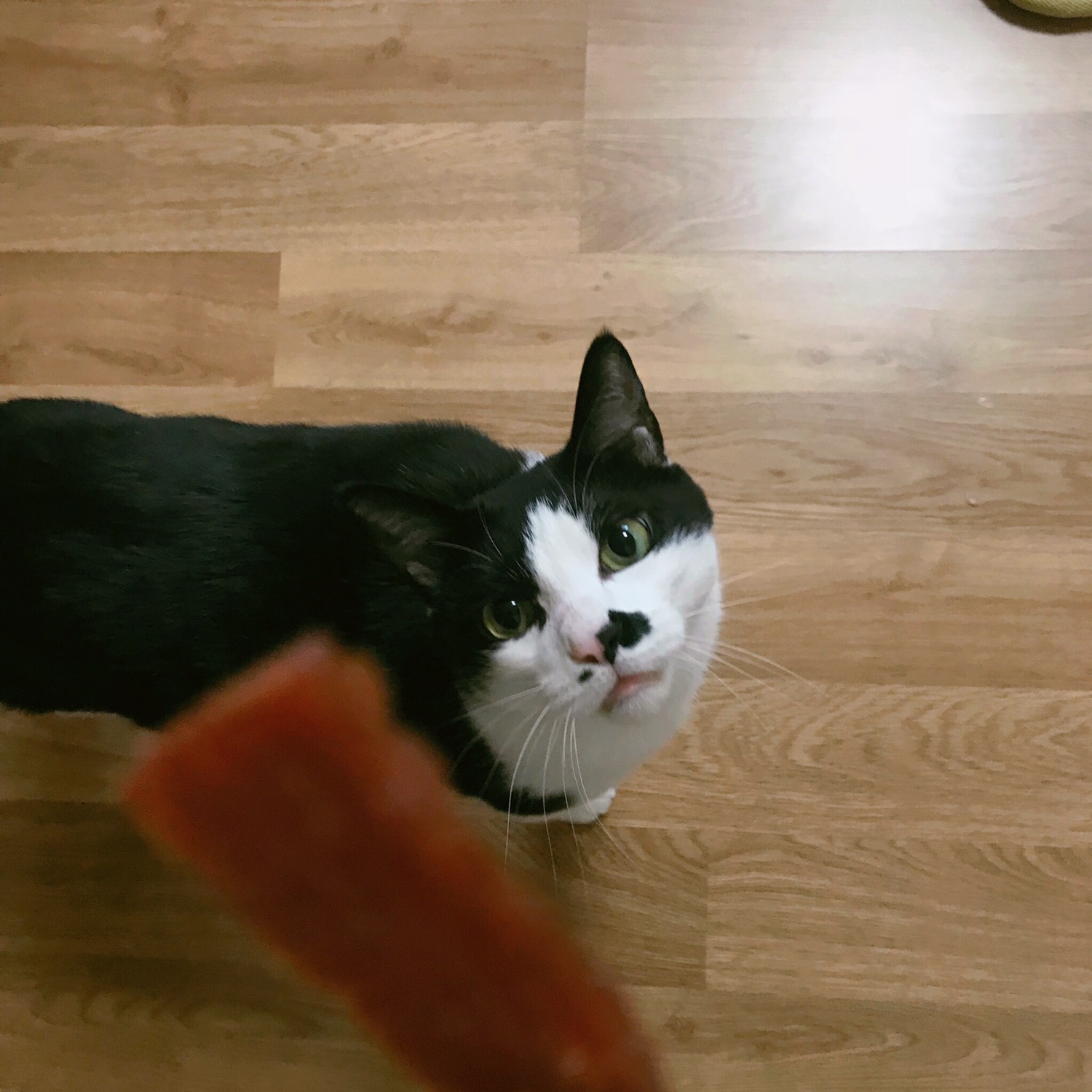 리뷰쉐어