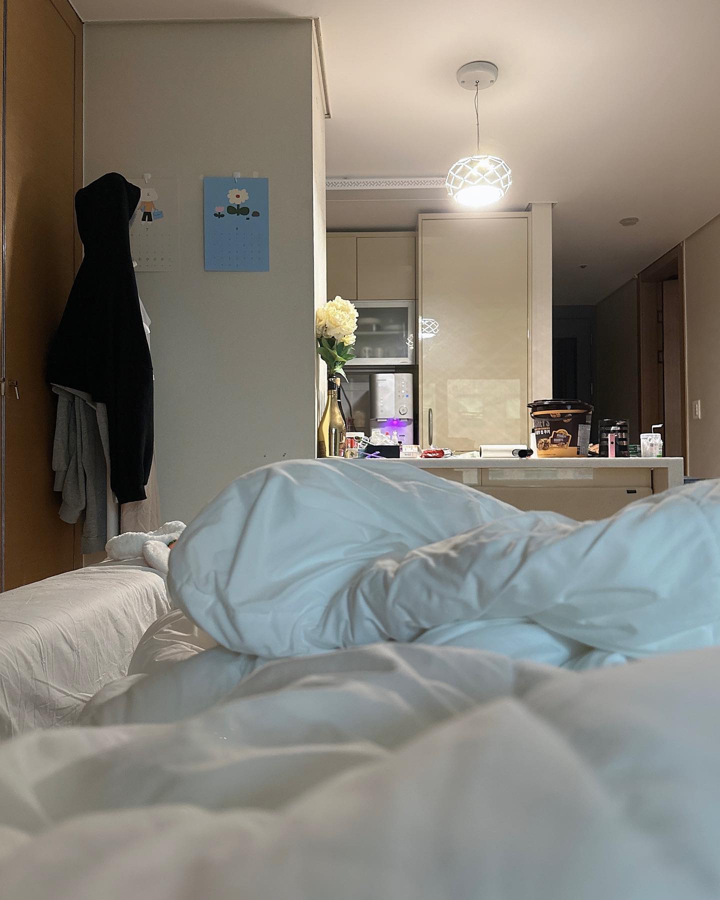쇼파 모닝🌻