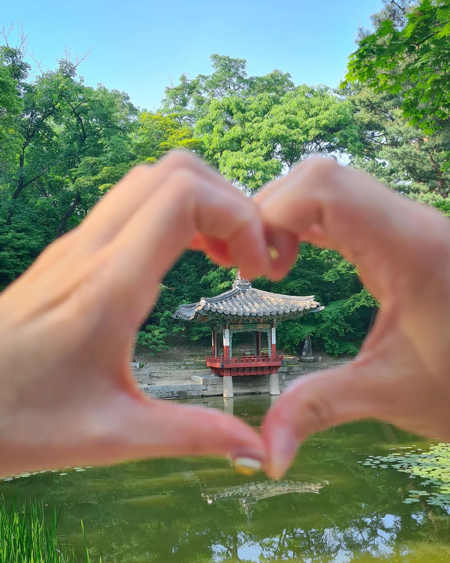 💚
하루죙일 창덕궁 창경궁 돌아다녀서 핵지침ㅋㅋㅋ

#여행스타그램#여행사진#여행기록#여행#서울#서울여행#서울여행코스#서울여행지#사진기록#대한민국구석구석#고궁#고궁투어#창덕궁#창덕궁후원#창경궁#창경궁대온실#seoul#korea#travel#photography#palace