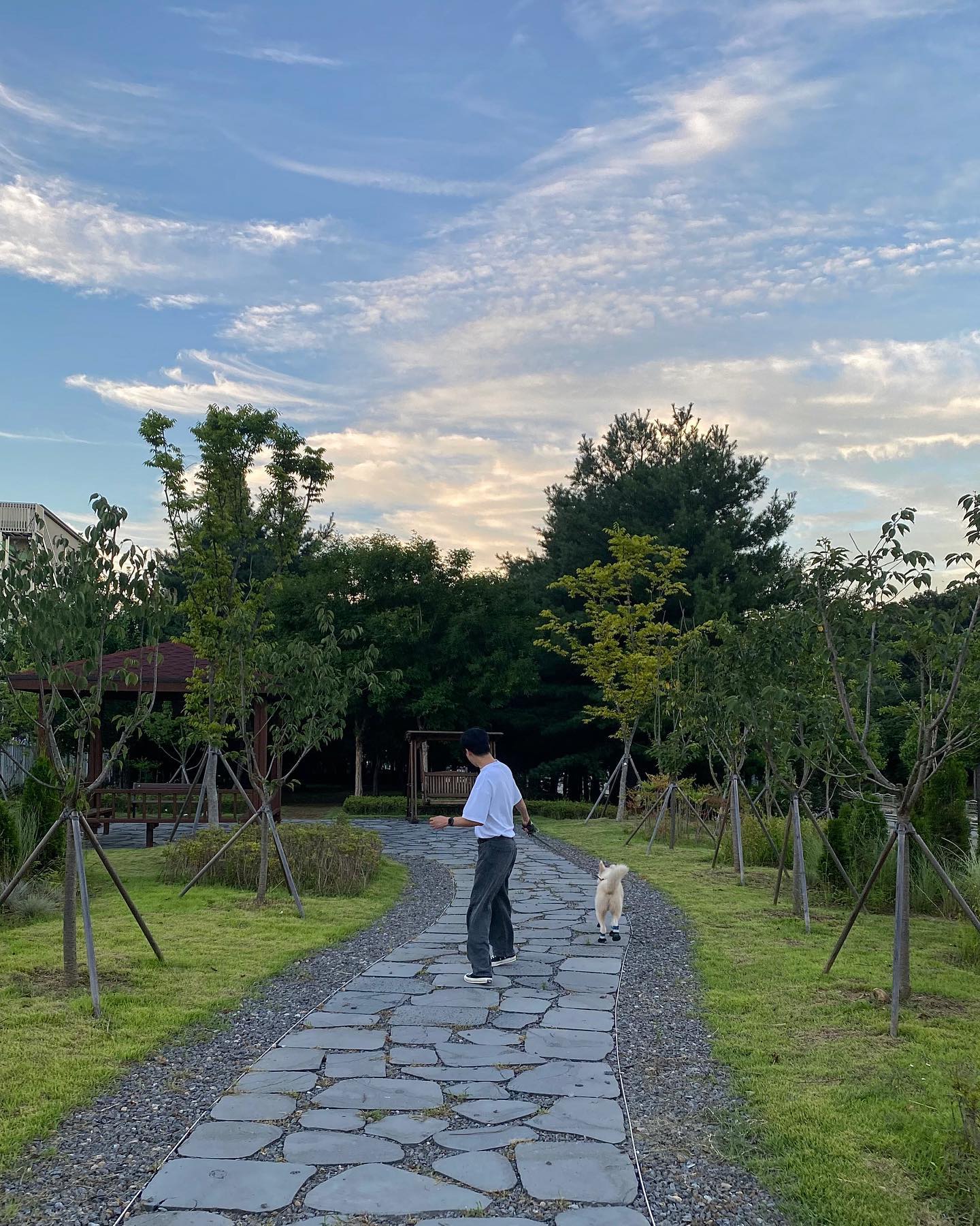 한 여름☀️

#반려견그램 #반려견과함께 #반려견산책 #사지말고입양하세요 #데일리룩 #한여름 #날좋은날 #dailylook #dogstagram #summer #ootd