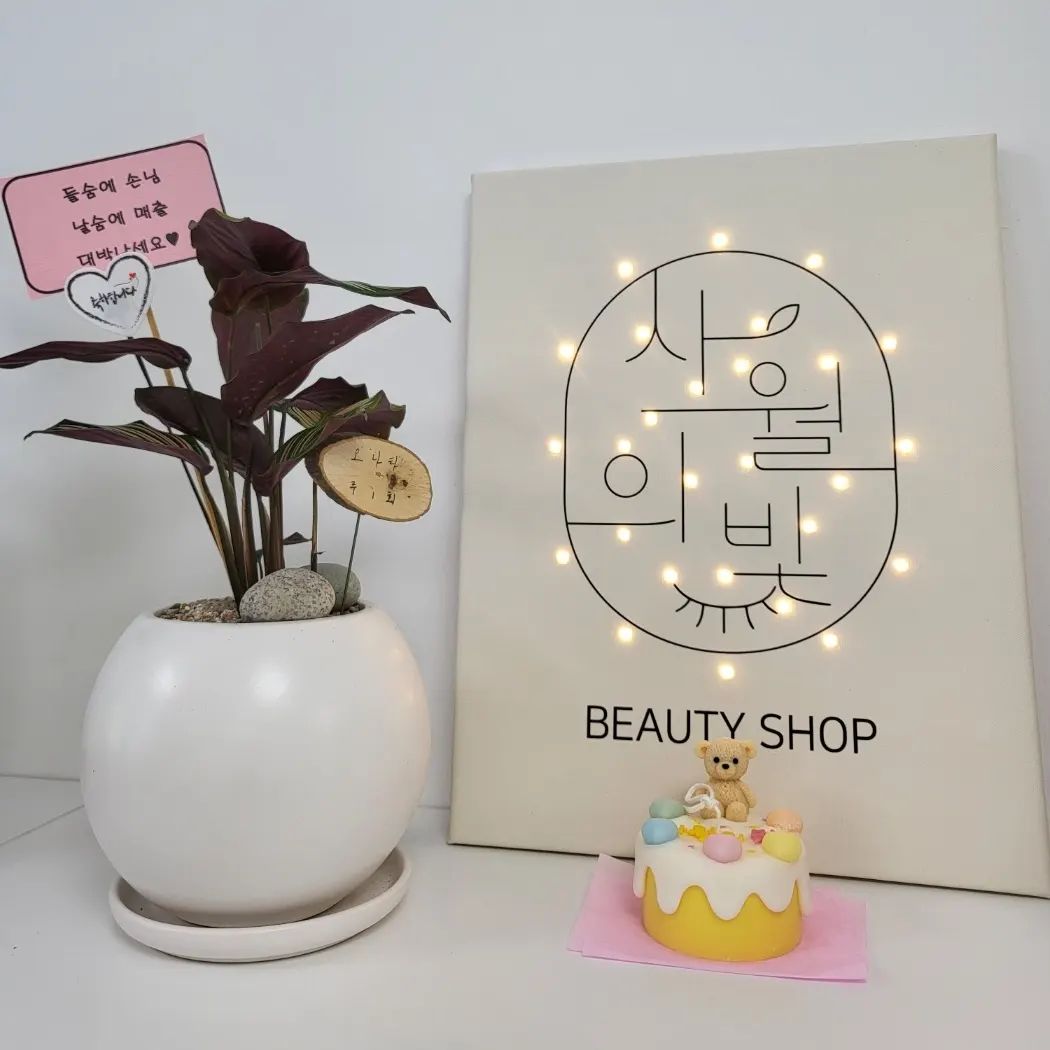 동생의 친한 친구가 오픈한 ✨️사월의 빛✨️(bt_4shine )을 소개해 드리려고 해요🧚‍♀️
열심히 노력해 오픈한 만큼 고객님들의 니즈에 맞는 아름다움을 선물해 드릴 준비가 되어있으니 많은 관심 부탁드려요!!❤️
8️⃣월 오픈 이벤트 진행중!!
bt_4shine 
#사월의빛 #대전눈썹문신 #금왕 #충남 #눈썹문신 #속눈썹펌 #반영구 #미인점