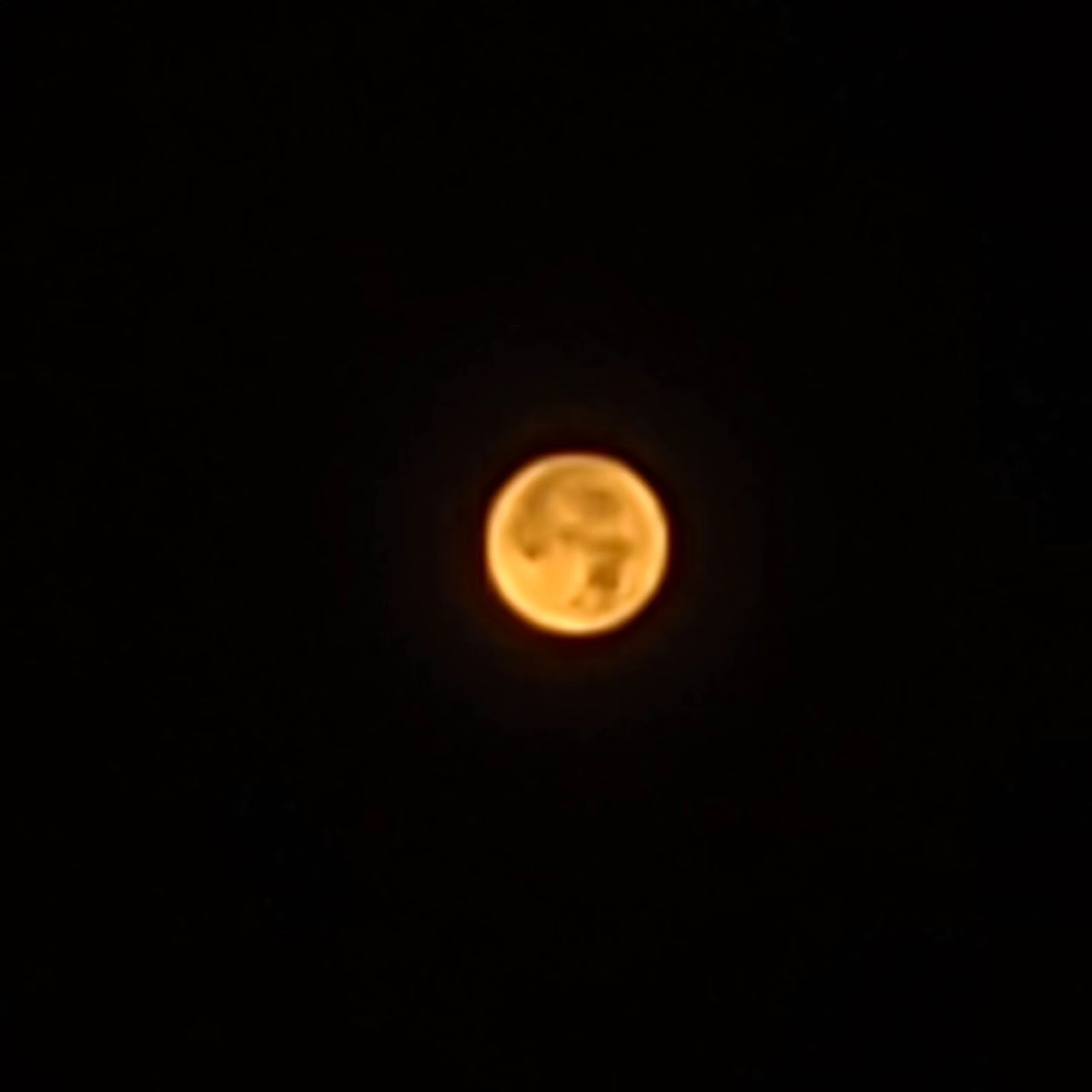 어제 새벽 #슈퍼문 🌕
달이차오른다 가자

#베란다 에서 땀 찔찔뻘뻘 한건 안비밀
#30대 #일상 #대전 #인친환영 #선팔맞팔