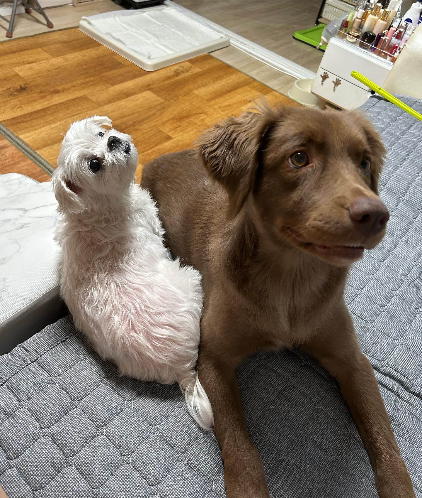 ㅋᩚㅋᩚㅋᩚㅋᩚㅋᩚㅋᩚㅋᩚㅋᩚㅋᩚ
아 행복해라
