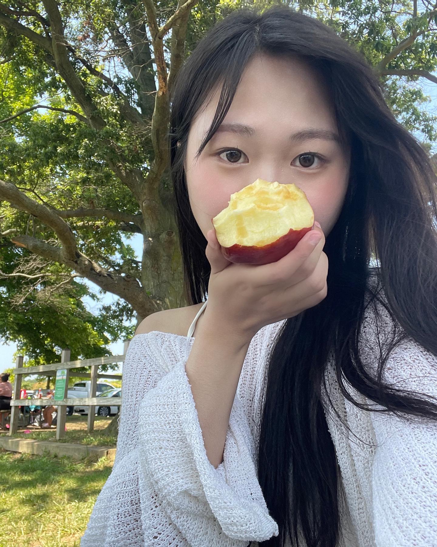 햇빛 멈춰