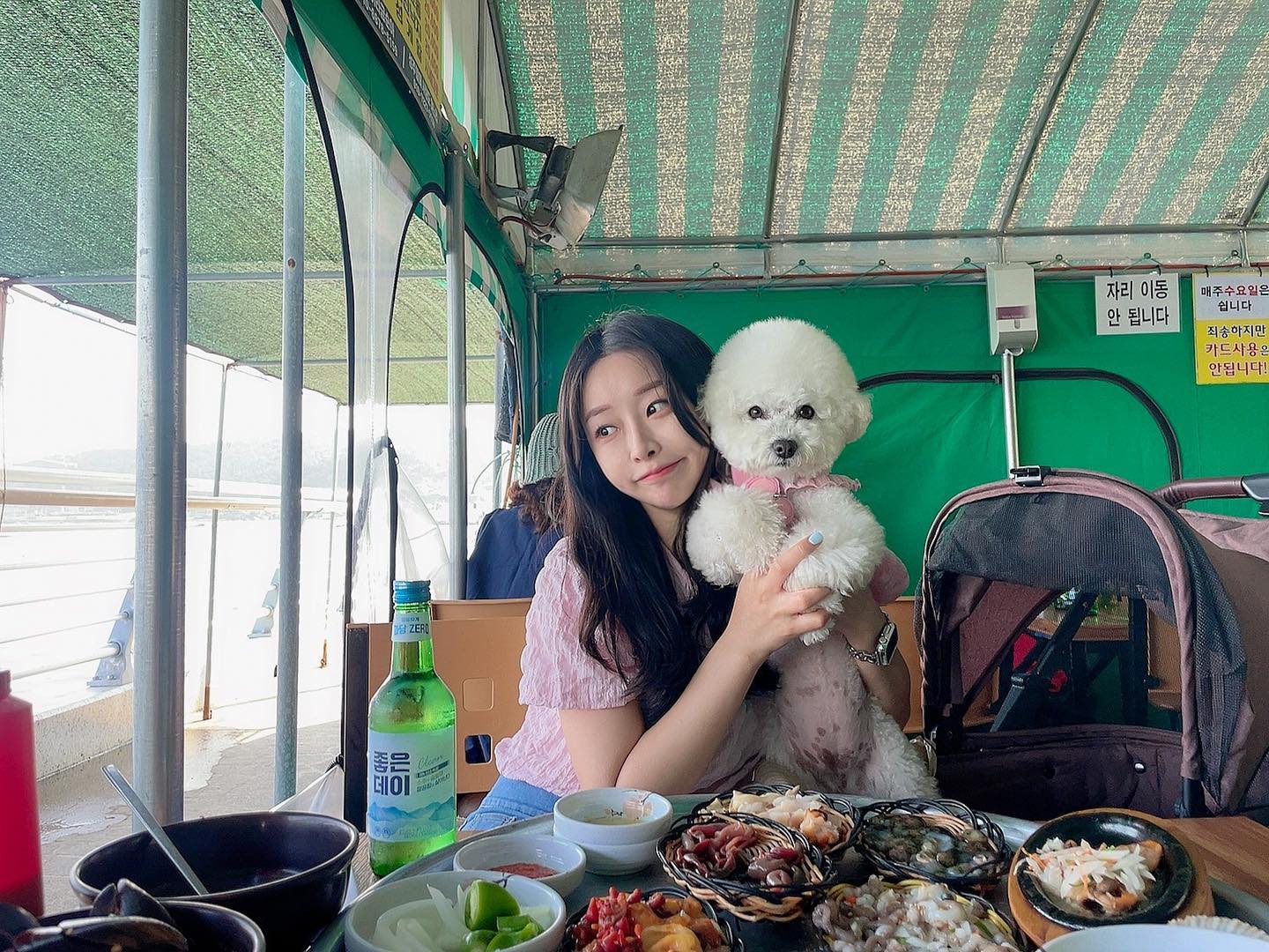 한여름에 올리는 봄날의 추억.jpg

#부산 #부산여행 #강아지랑여행 #태종대 #태종대조개구이 #해녀촌 #기장 #연화리 #연화리해녀촌 #광안리 #비숑그램 #여행스타그램 #국내여행