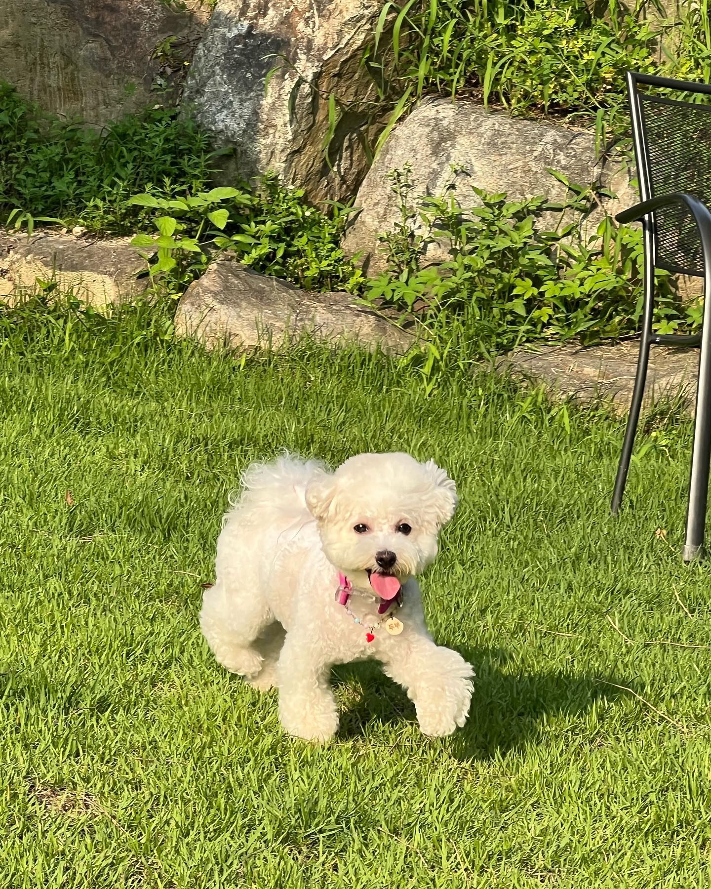행복한 듑!듑!🐶