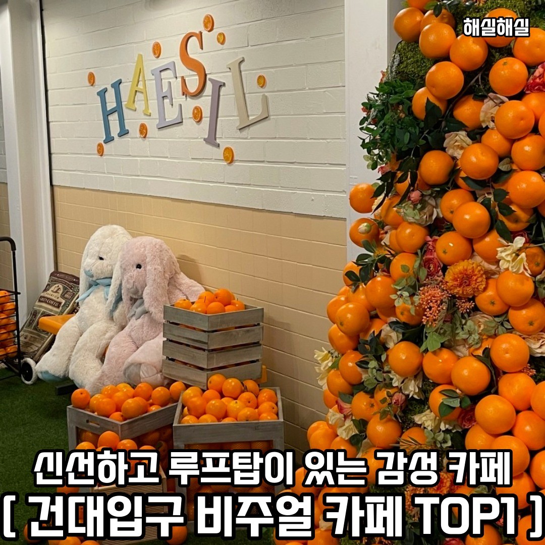 건대입구역에 신선한 비주얼 디저트를 판매하는 루프탑 카페로 다같이 떠나보자 𖤐ˊ˗
𖥸──-ˋˏ 해실해실 ˎˊ-──𖥸

𖤥 서울 광진구 동일로22길 58
- cafe_haesilhaesil
- 매일 [ 12:00 - 23:00 ]

━━━━⊱⋆⊰━━━━

#해실해실 #해실해실디저트카페 #건대입구역 #건대입구역맛집 #건대입구역카페 #건대입구역핫플 #건대입구 #건대입구맛집 #건대입구카페 #건대입구카페추천 #건대입구데이트 #건대입구데이트코스 #화양동 #화양동맛집 #화양동카페 #화양동카페추천 #화양동핫플 #화양동데이트 #광진구 #광진구맛집 #광진구카페 #광진구카페추천 #광진구핫플 #광진구핫플레이스 #광진구데이트