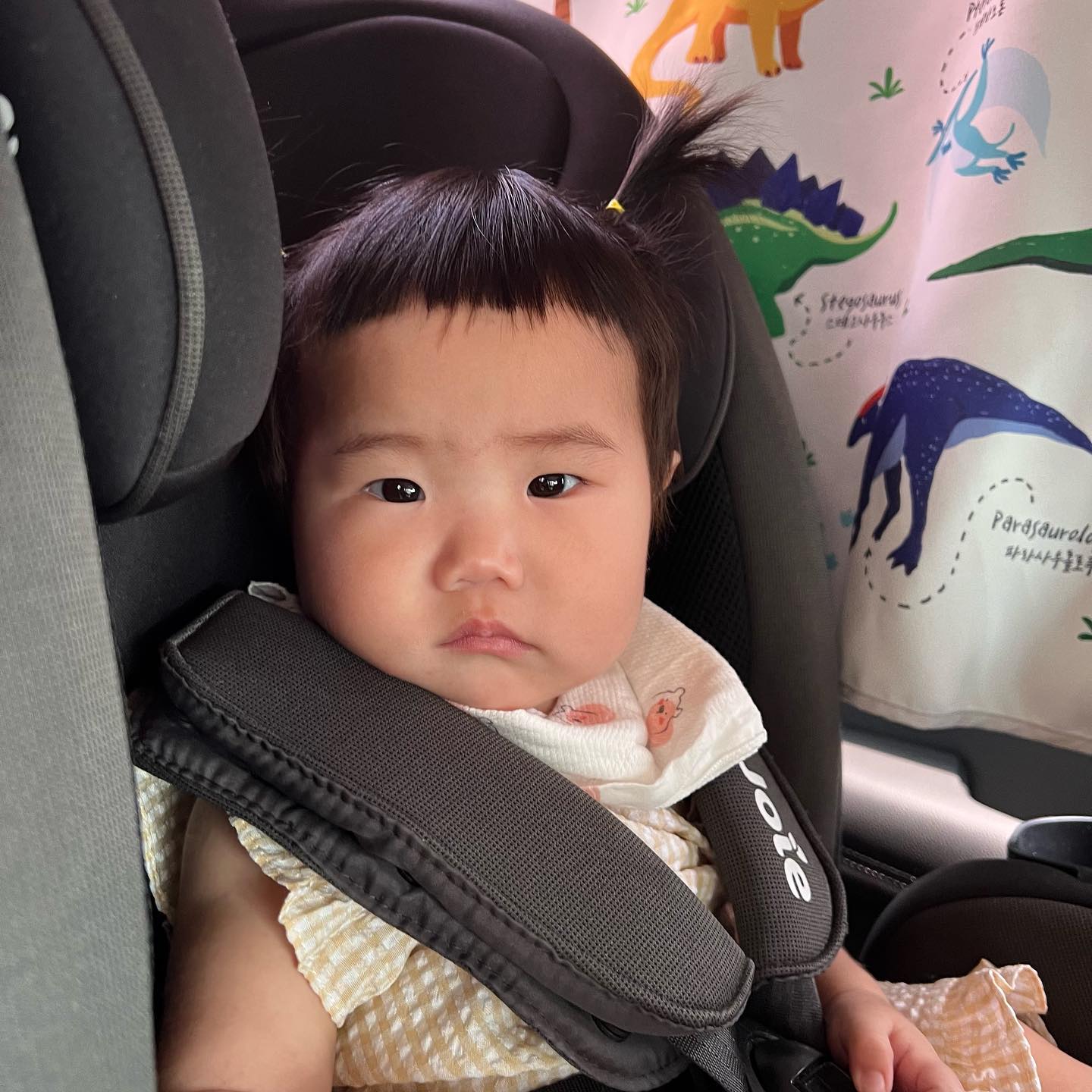 👧🏻+306

삐삐하리 기여우니까 
피드박제❤️