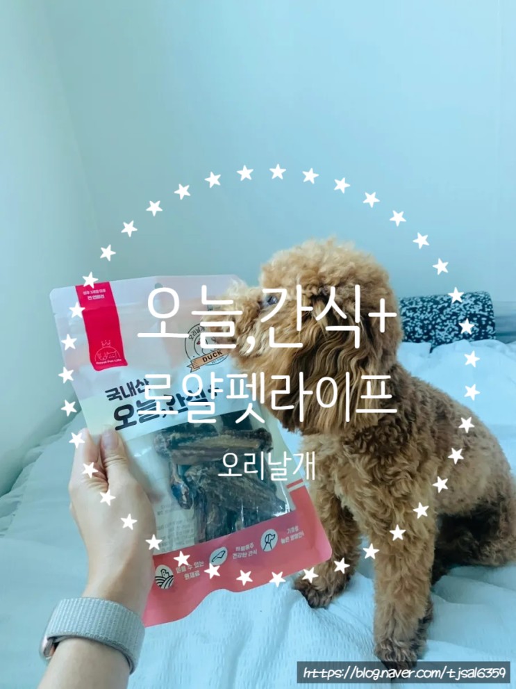 로얄펫라이프(오리날개) - 강아지 간식 추천