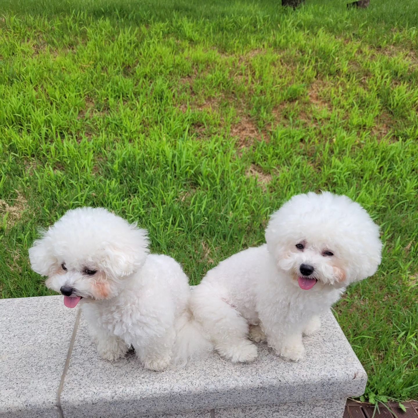헥헥 덥다더워

#보령