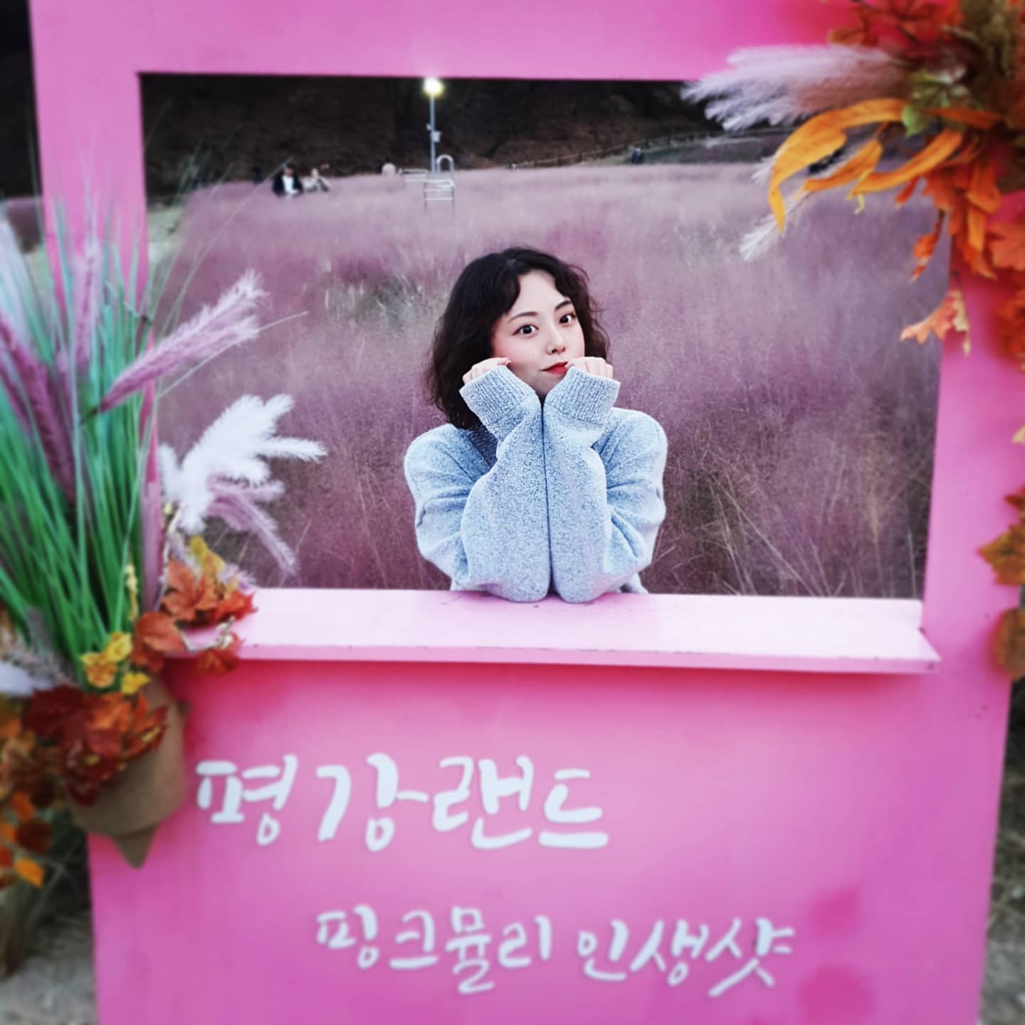 #첫줄앙영
#펌
.
.
.
머리했어요🤭
핑크뮬리도 보고왔어요🌸
.