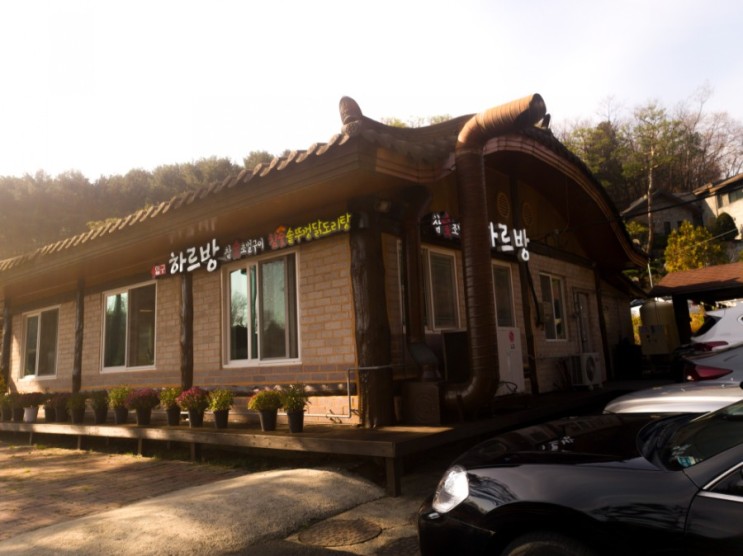 여주 맛집 추천 상황버섯오리백숙 먹고 왔어요 여주 신라 cc 맛집 하르방 이런 곳이 있었네요