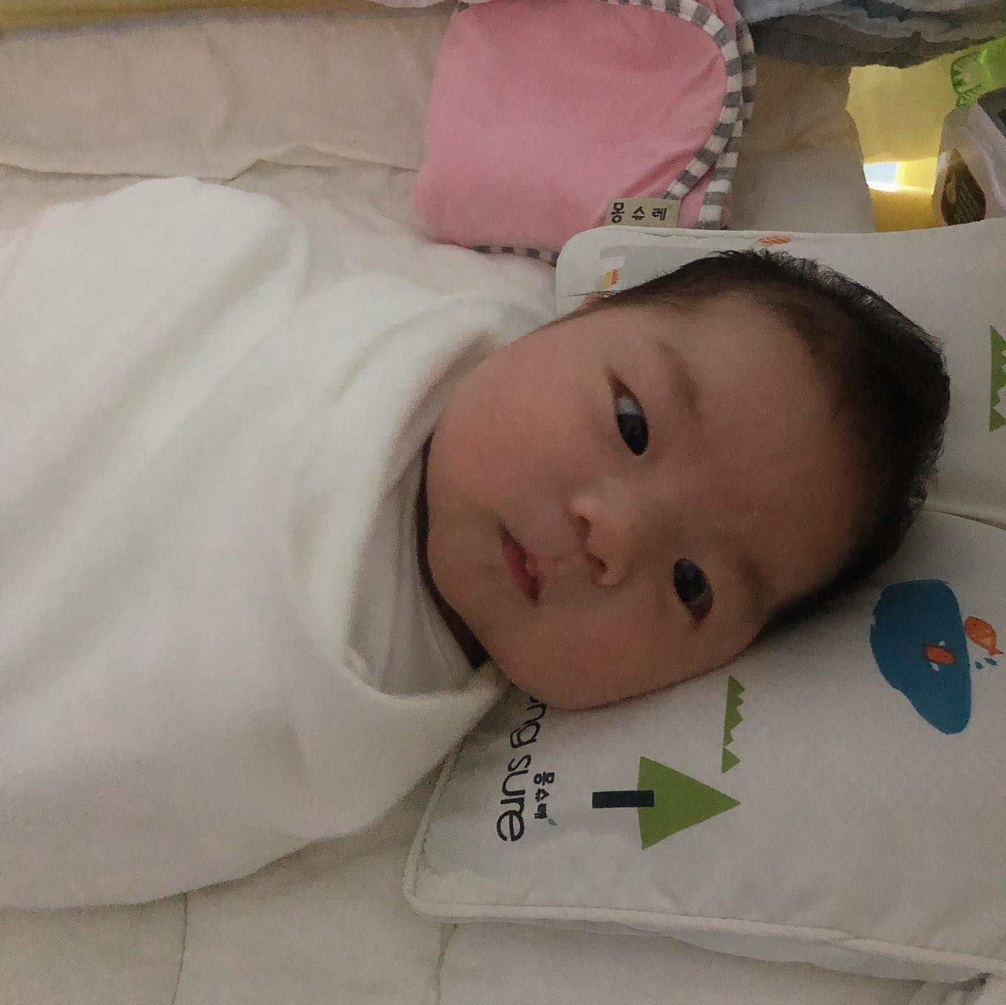 신생아 필수품중 하나인 
몽슈레태열베개💕

실내온도를 아무리 잘 조절해줘도
조금만 더우면 금새 우리아가 얼굴에
불긋불긋 태열이 올라온다ㅠ🔥

신생아에게 최적의 온도 25도를 유지해주는 몽슈레태열베개 없었음 어쩔뻔했어~~

머리뒤쪽으로 열을 빼내어 태열완화는 물론예쁜 두상 형성까지 도와주는 
몽슈레태열베개 💕잘~ 쓴다템 인정!^^ 

#신생아태열#신생아태열관리#신생아베개#아기태열#신생아머리태열 
#신생아쿨베개#육아스타그램#신생아그램#신생아준비물#출산준비물#출산용품
#신생아용품준비#신생아선물#출산선물#신생아출산준비#신생아얼굴태열
#몽슈레태열베개 #협찬
