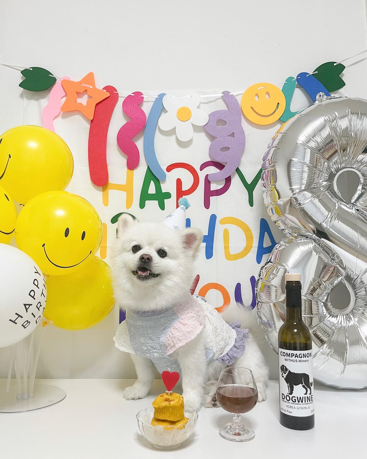 내 생일 !!! 🐶🎂🎉🎈