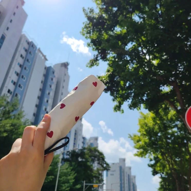 가벼운 암막양산 :: 크로커다일 레인앤훼밀리 우양산