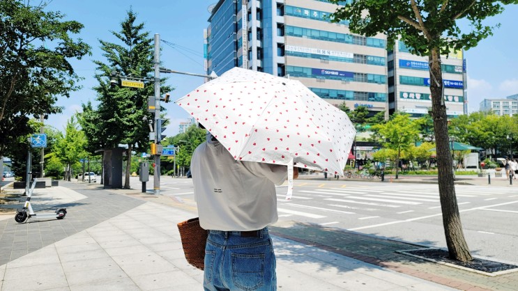 크로커다일 자외선차단 예쁜양산 써요