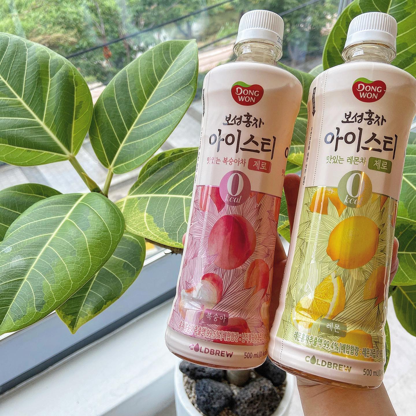 #협찬 🍹동원 보성녹차 아이스티

🟡리뷰
다이어터는 솨리질러~~~~~~🤟🏻🤟🏻🤟🏻
칼로리 걱정없이 마실 수 있는 제로 칼로리 아이스티 등장! 두둥~😆

볼살이는 여름이면 아이스크티만 마시는데요! 
피티쌤이 음료수 한모금도 마시지 말라고 빡세게 식단관리를 시키셔서 
올해는 음료수 근처도 못갔네요😭😭

그런 볼살이에게 제로 칼로리 아이스티는
한줄기 빛과 같은 존재예요! ✨✨

두가지 맛이 있어서 오늘은 복숭아 맛,
내일은 레몬 맛 바꿔가면서 마시면 
질리지고 않고 오래오래 마실 수 있답니다🍑🍋🍑🍋🍑🍋

제로 칼로리지만 절대 밍밍하거나 물 맛이 나지 않고
첫 맛은 달콤한 복숭아/레몬 맛 나다가
끝 맛은 은은한 홍차향이 풍미를 느낄 수 있어요💖💖

요고 완전 요물이예요🥰

https://www.dongwonmall.com/product/detail.do?productId=001393691&cate_id=&keyword=%EC%95%84%EC%9D%B4%EC%8A%A4%ED%8B%B0
 #아이스티 #제로칼로리 #제로칼로리음료 #보성홍차아이스티 #아이스티제로 #제로아이스티 #보성홍차 #0칼로리 #유지어터 #관리 #홈트 #요가 #필라테스 #먹팔환영 #먹팔소통 #볼살이의먹스타그램