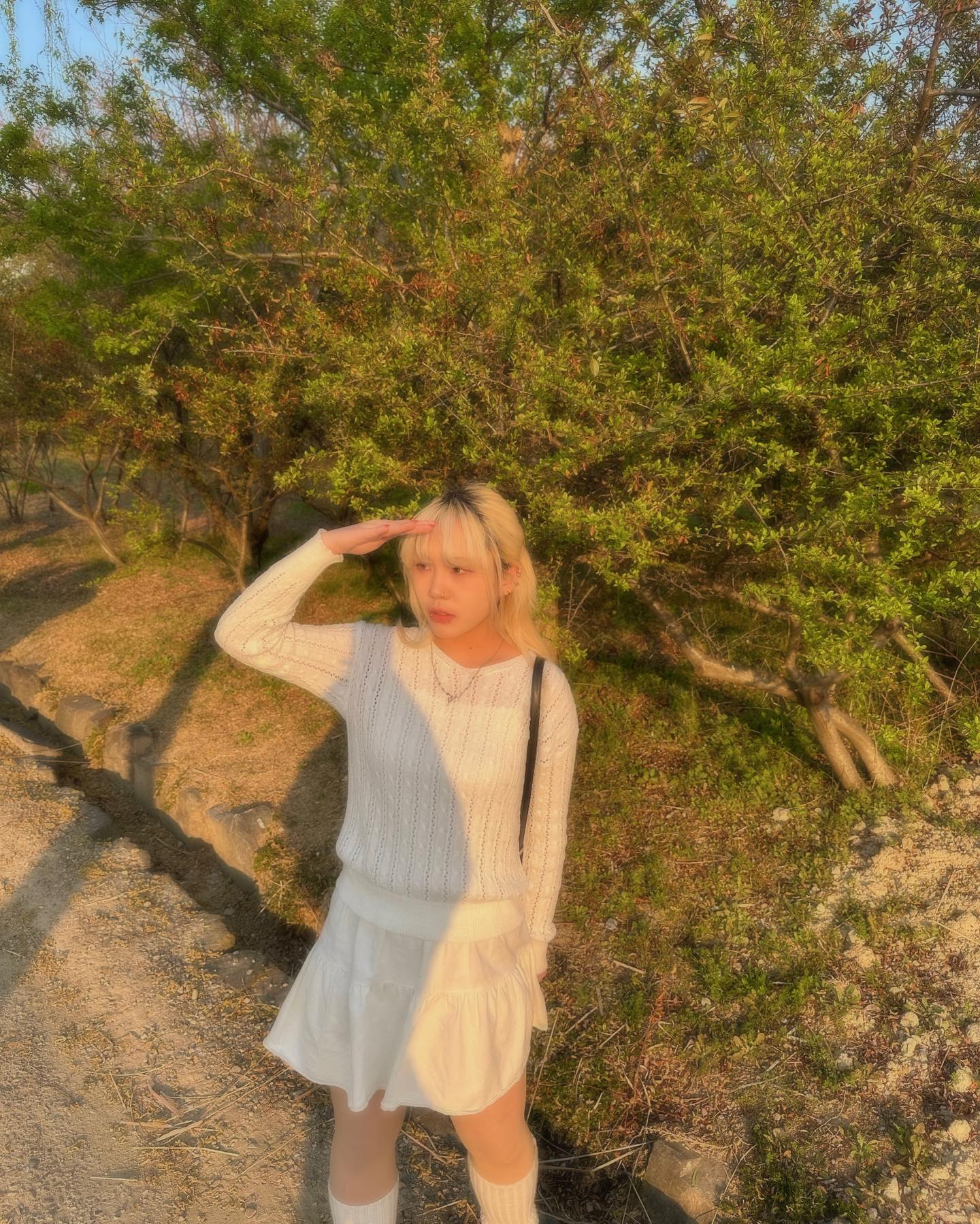 𝑺𝒖𝒏𝒔𝒉𝒊𝒏𝒆✨