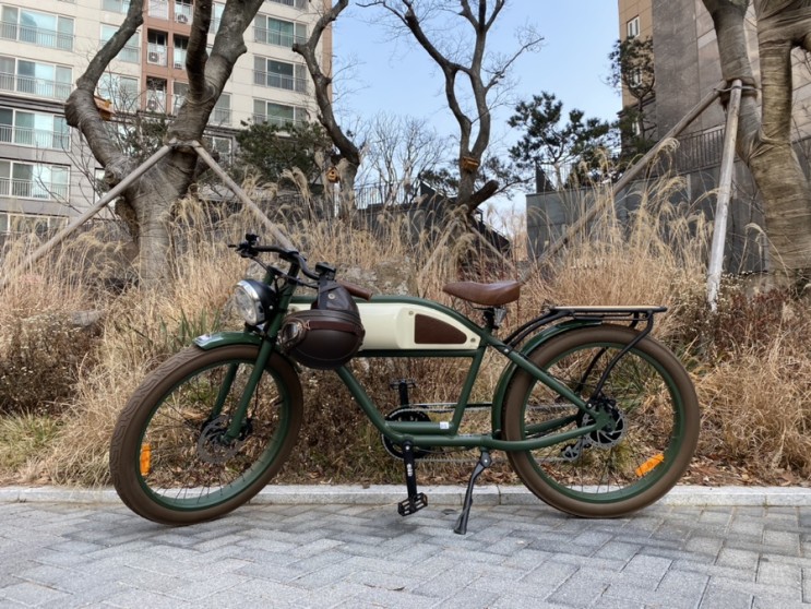예뻐서 산 클래식 전기자전거, '마이클 블라스트' <그레이저>