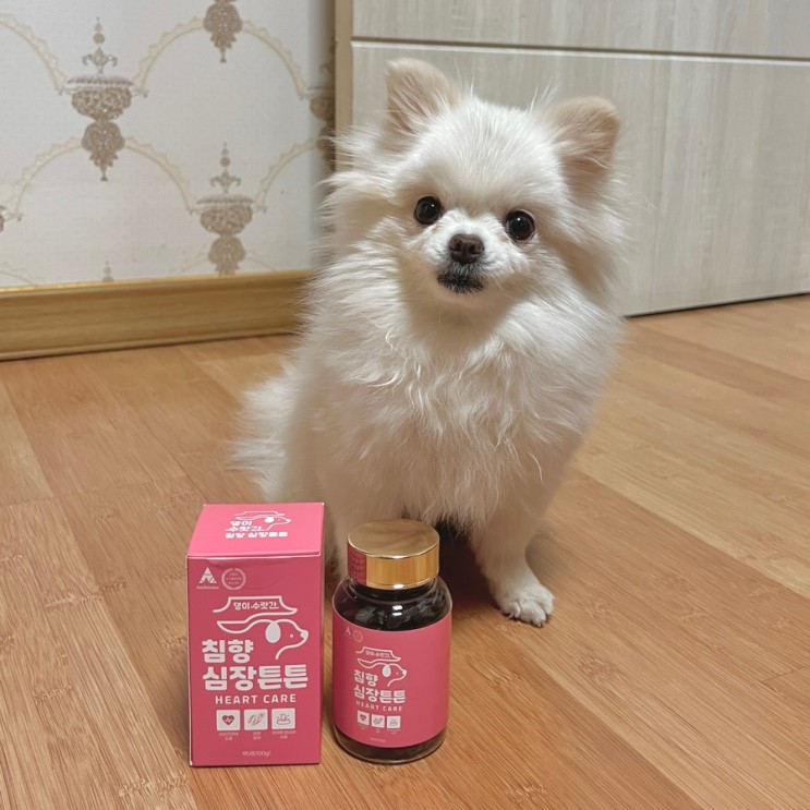강아지 심장영양제 댕이수랏간 침향심장튼튼