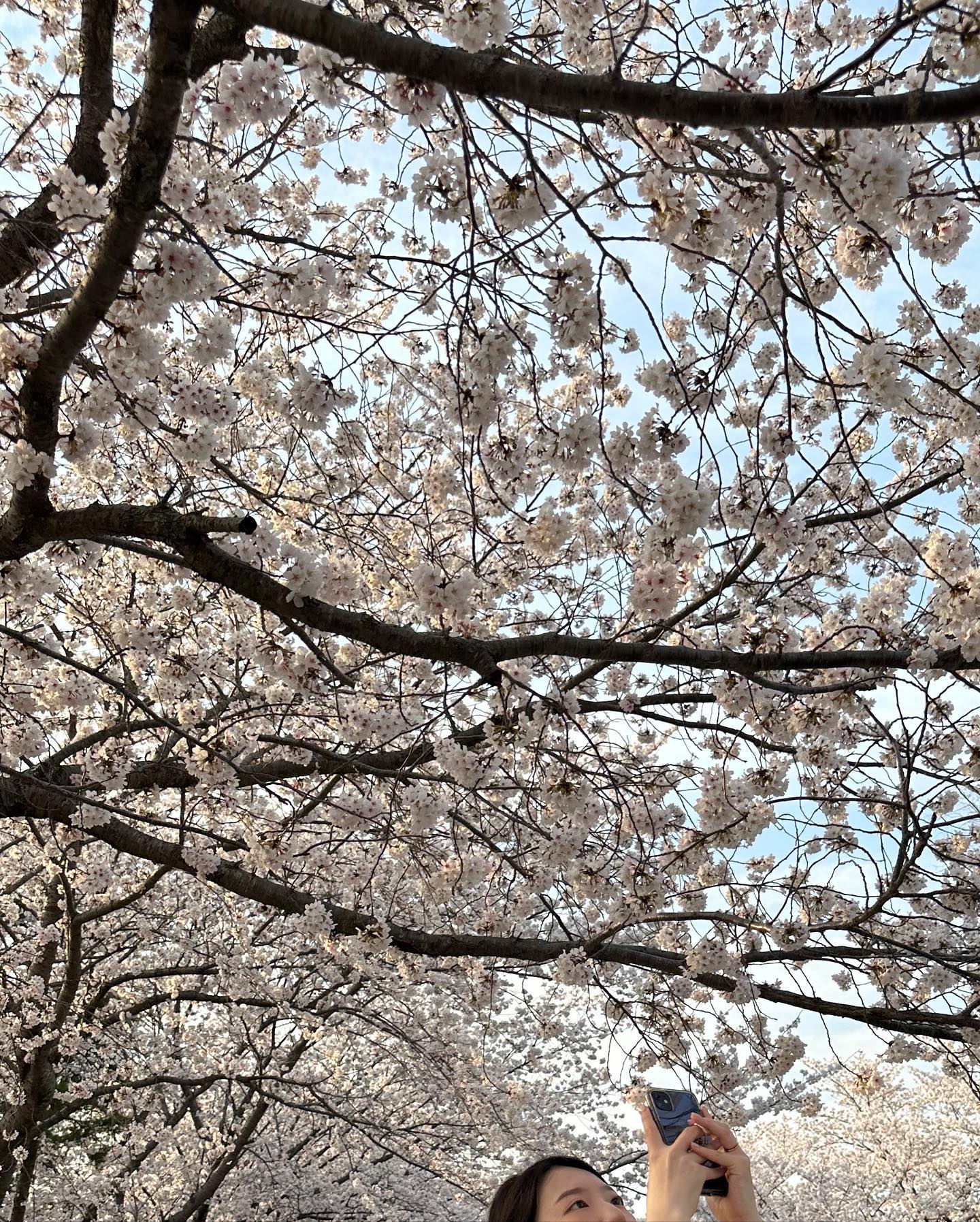 애들아 내년에 또 보쟈 💗🌸💗
