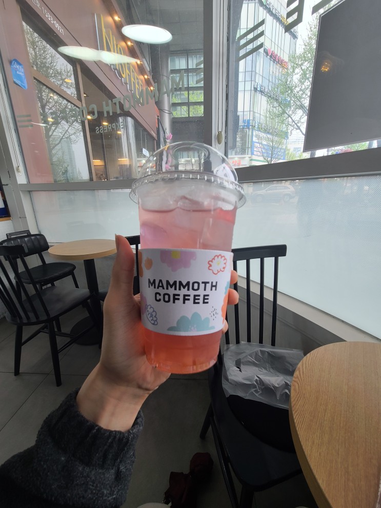 매머드커피 봄메뉴, 과일음료 찐리뷰(납작복숭아,금귤!)
