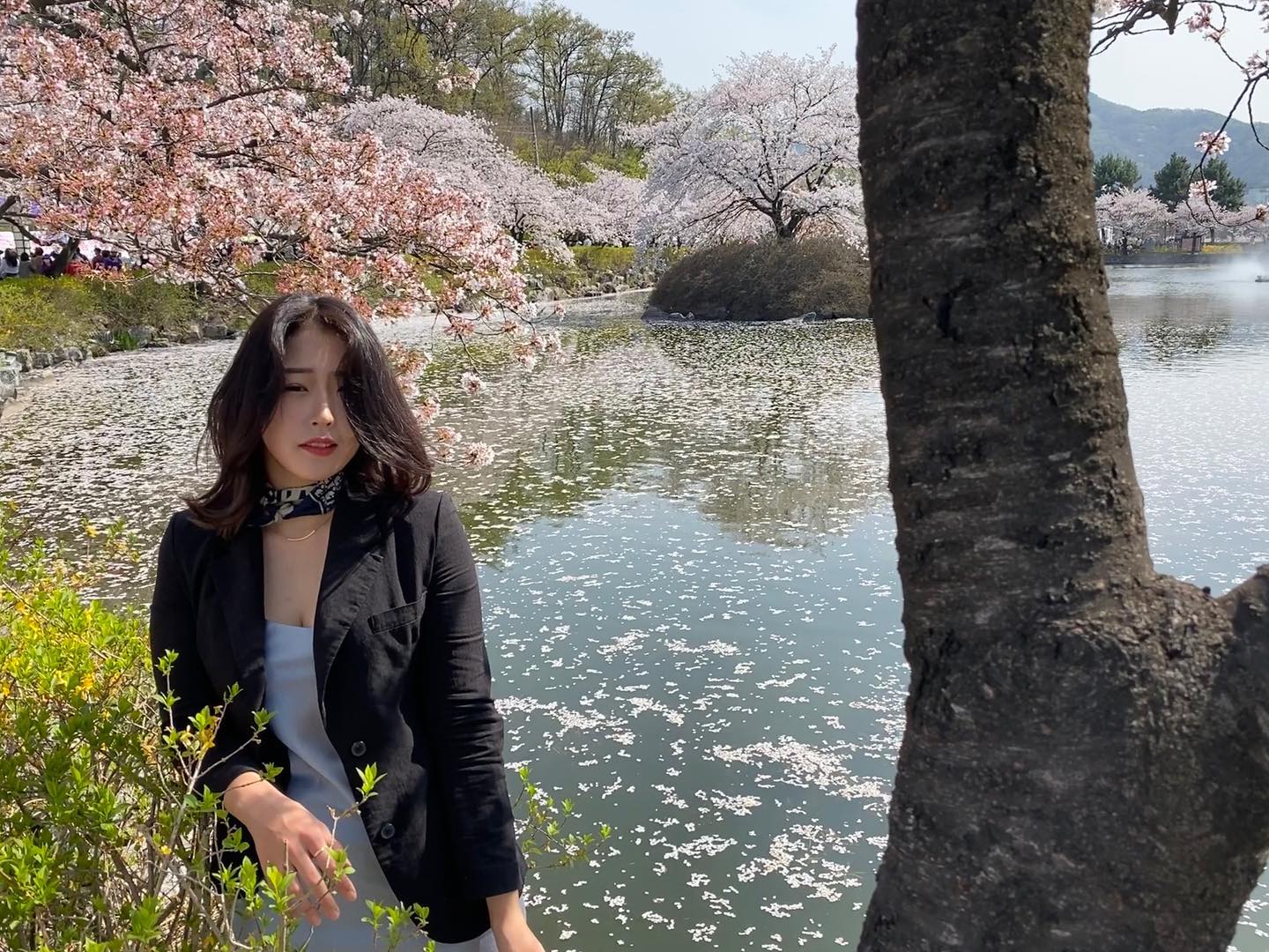 그 해,봄