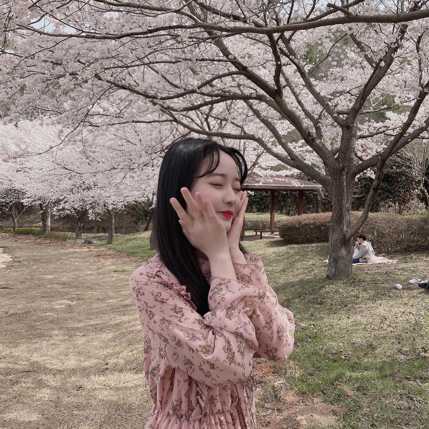 내년엔 남자친구랑 벚꽃 봐야지,,🌸