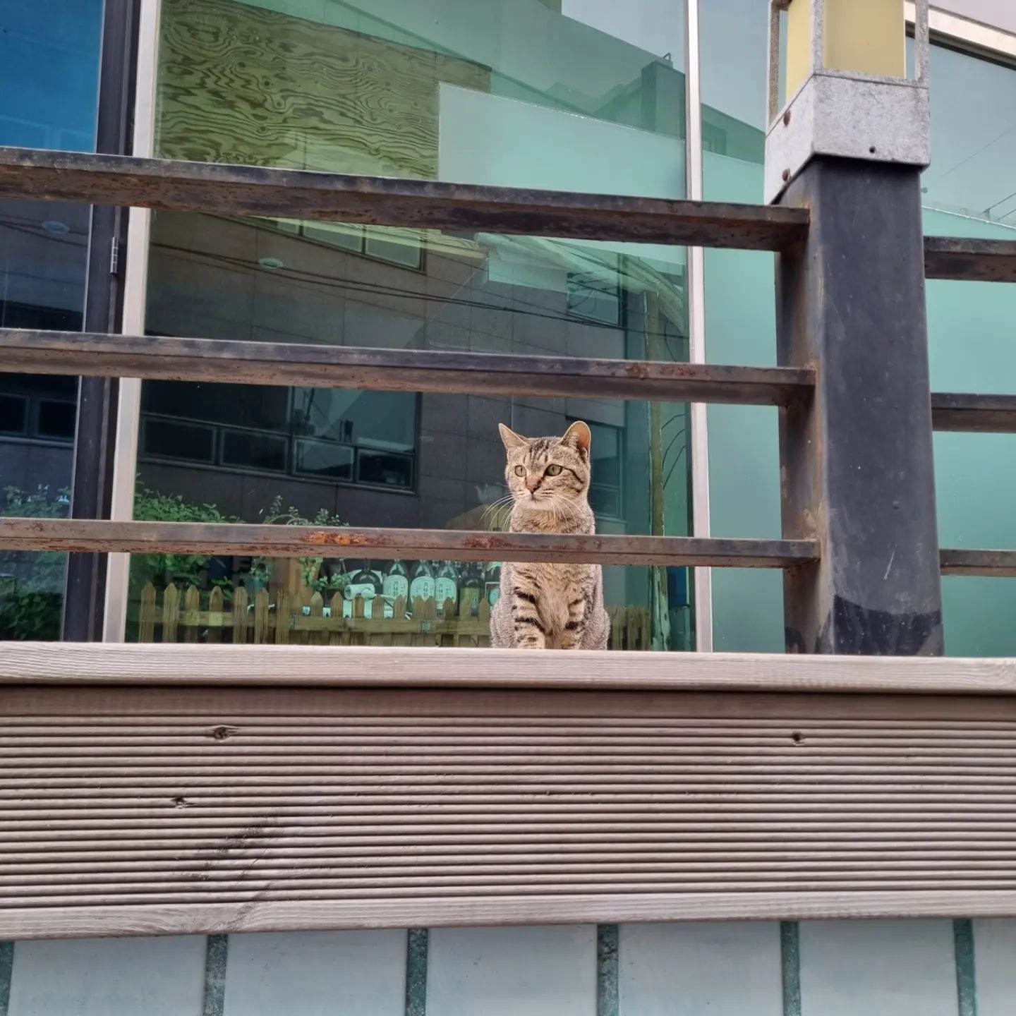 부산 여행 2일차 🚗
너무 피곤한 나머지 늦잠을 자버린 나... ㅋㅋㅋ 10시쯤 일어났나 ㅋㅋㅋ 아무튼 일어나서 호텔 피트니스룸에서 아침 운동! 운동은 항상 기분을 맑게해주지!
월~수요일은 호텔 레스트랑이 안한다는...ㅜㅜ 결국 레스트랑 못 가봄... 1일차에 갔던 28층 카페에서 아이스아메리카노랑 빵 하나 사서 먹고, 오후 1시쯤에 광안리로 이동! 

광안리 도착 후 길을 걷는데 보이는 길고양이 🐱 귀여워서 찍었음...ㅎㅎ 광안리 바닷가 한번 걸어주고, 앉아서 쉴겸 바다 구경 한번 해주고, 저녁 먹으러 소연옥으로 이동~ 
규카츠 스테이크 상당히 맛있었다고 한다! 음식 사진은 못 찍었지만... 아쉬운데로 가게 사진이라도... 😅
그렇게 저녁을 먹고, 광안리 해수욕장 위 다리에 불 켜지고, 사진을 찍고! 마지막으로 해운대로 이동했지만... 사람도 많고, 사진도 못 찍는 내가 거기서 사진 찍기에는 무리여서 그냥 호텔로 돌아왔다는...

호텔 마지막 밤은 보니타 로제와 과자랑 같이 보내고, 술을 못 마시는 난 바로 뻗었다고 한다 😂

#일상 #고양이 #먼치킨 #집사 #군인 #운동 #운동스타그램💪 #여행 #여행스타그램 #라발스호텔부산 #광안리 
#소연옥 #와인 #보니타로제