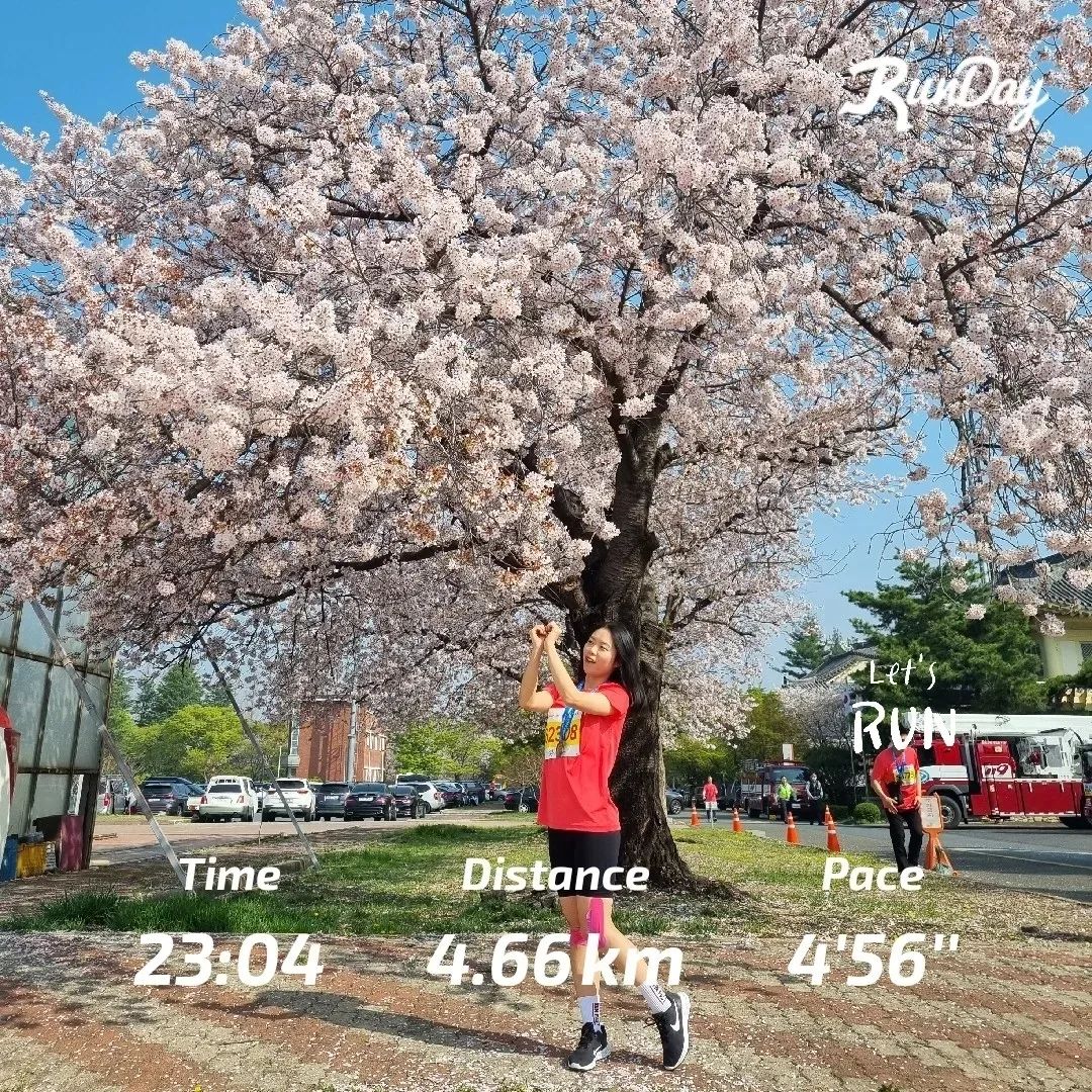 2nd 🏃‍♀️ 5km 24분 40초
짝꿍이랑 두번째 마라톤 기록! 1달 전에는 5km 25분 21초였는데 드디어 24분대 진입 💐 
(런데이로 5km 설정했는데 왜인지 km가 짧게나와서 5km 기준 평균 페이스로 환산해서 시간 측정함!)

5km의 짧은 거리에, 벚꽃 시즌이라 러닝이 아닌 벚꽃 구경을 위해 신청하신 분이 많았다. 기록을 내고 싶었는데 앞자리를 차지하지 못하다보니 걷는 사람들 사이에 막혀서 뛰느라 시간이 많이 걸렸다:( 😂(초반에는 페이스가 12까지도 낮게 나왔다.) 연습했던 페이스보다 낮게 나와서 다소 실망했지만 경주의 벚꽃은 정말 아름다웠다🌸 그리고 나사라 테이핑도 처음 받아봤는데 신기한 느낌! 이벤트로 2팩 받았는데 앞으로 마라톤 경기에서 요긴하게 쓰일 것 같다 ㅎㅎ

다음엔 10km 도전!

#제30회경주벚꽃마라톤대회  #20230401