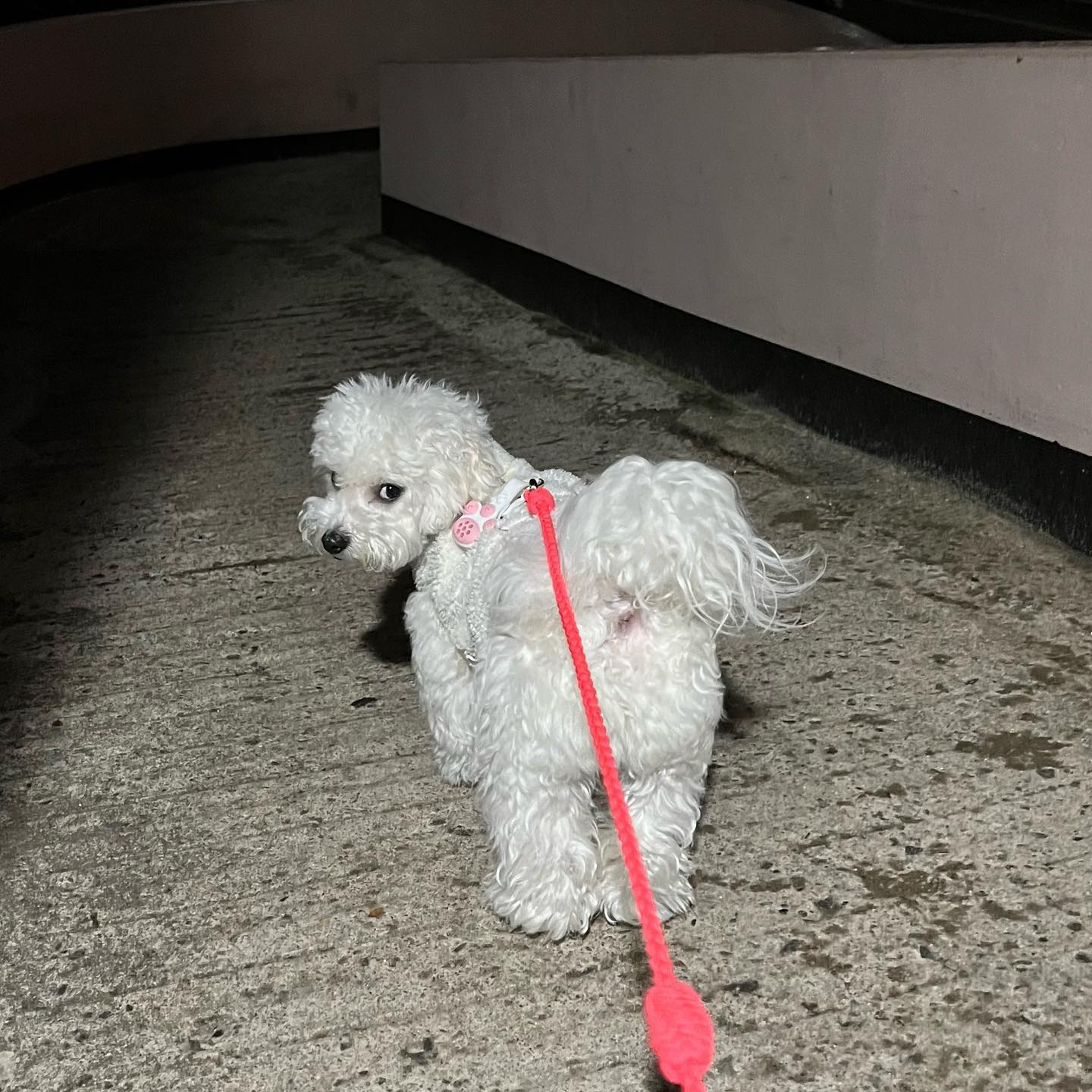 나가자마자 비와서☔️
그냥 뛰어놀아찌룡!😁ㅋㅋ