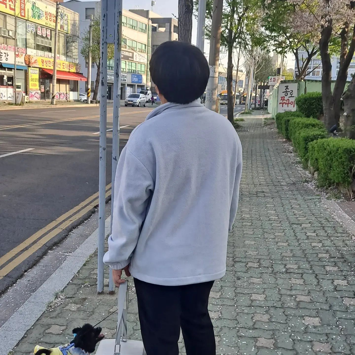 남친과함께 벛꽃놀이데이트 너무 좋았다ㅎㅎ
벛꽃이랑 남친이랑 고미랑 같이 놀아다니니까 세상 행복
#벛꽃🌸 #데이트 #럽스타그램❤️ #남치니랑❤️ #고미랑💕