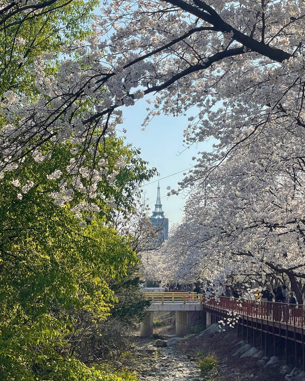 🌸🤍
아직 끝나지 않은 벚꽃명소 ᰔᩚ

가평 에덴벚꽃길은 이번주말이 절정일 것 같아요🌸 
꼭 요기서 에펠탑이랑 찍어쥬세요🫶🏻💗

📍가평에덴벚꽃길 
✔️2023년 축제기간 4/8-9, 4/15-16

⠀⠀⠀⠀⠀⠀⠀⠀⠀⠀⠀⠀⠀⠀⠀⠀⠀ 
⠀⠀⠀⠀⠀⠀⠀⠀⠀⠀⠀⠀⠀⠀⠀⠀⠀