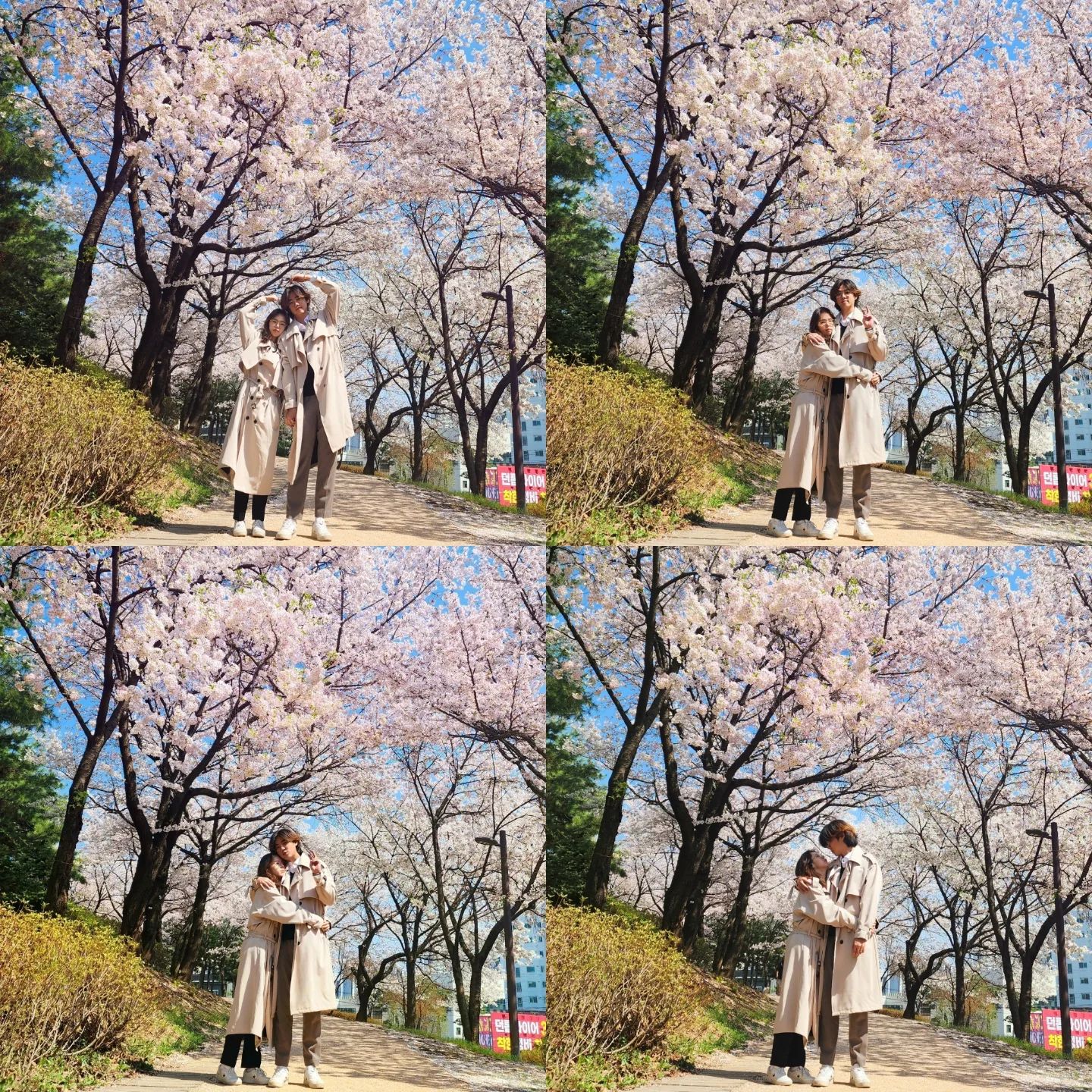 #뿡빵그램 #뿡빵네컷 #벚꽃 #🌸 #2 

오늘은 드디어 불금이네요🔥🔥

저희는 오늘 며칠동안 비가 오느라 습했던 날들이 지나고 해가 쨍쨍해서 연차내고 가평에 놀러왔답니다🫶🏻🫶🏻

모두들 이번 한 주도 고생많으셨습니다꒰◍︎⍢︎◍︎꒱۶

불금 즐기시고 행복한 주말까지 이어지시길 바래요ෆ╹ .̮ ╹ෆ