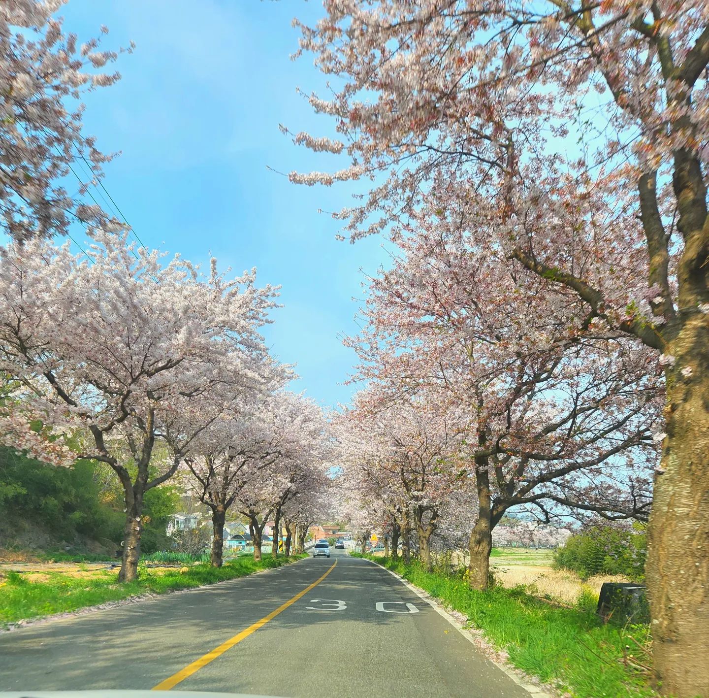 #🌸 #🐈 #🐈‍⬛
⠀
꺼몽이는 턱드름과의 전쟁 끝!
고란이는 구토와의 전쟁 진행중
⠀
🐱고란아 너 병원에서 이상이 없대.. 말짱하다는데 왜 토하는거야.. 왜 먹토해.. 왜 먹고 토하고 또 먹어.. 왜 토하는데도 5.7키로까지 쪘어.. 왜
⠀
#그래도행복하자아프지말고