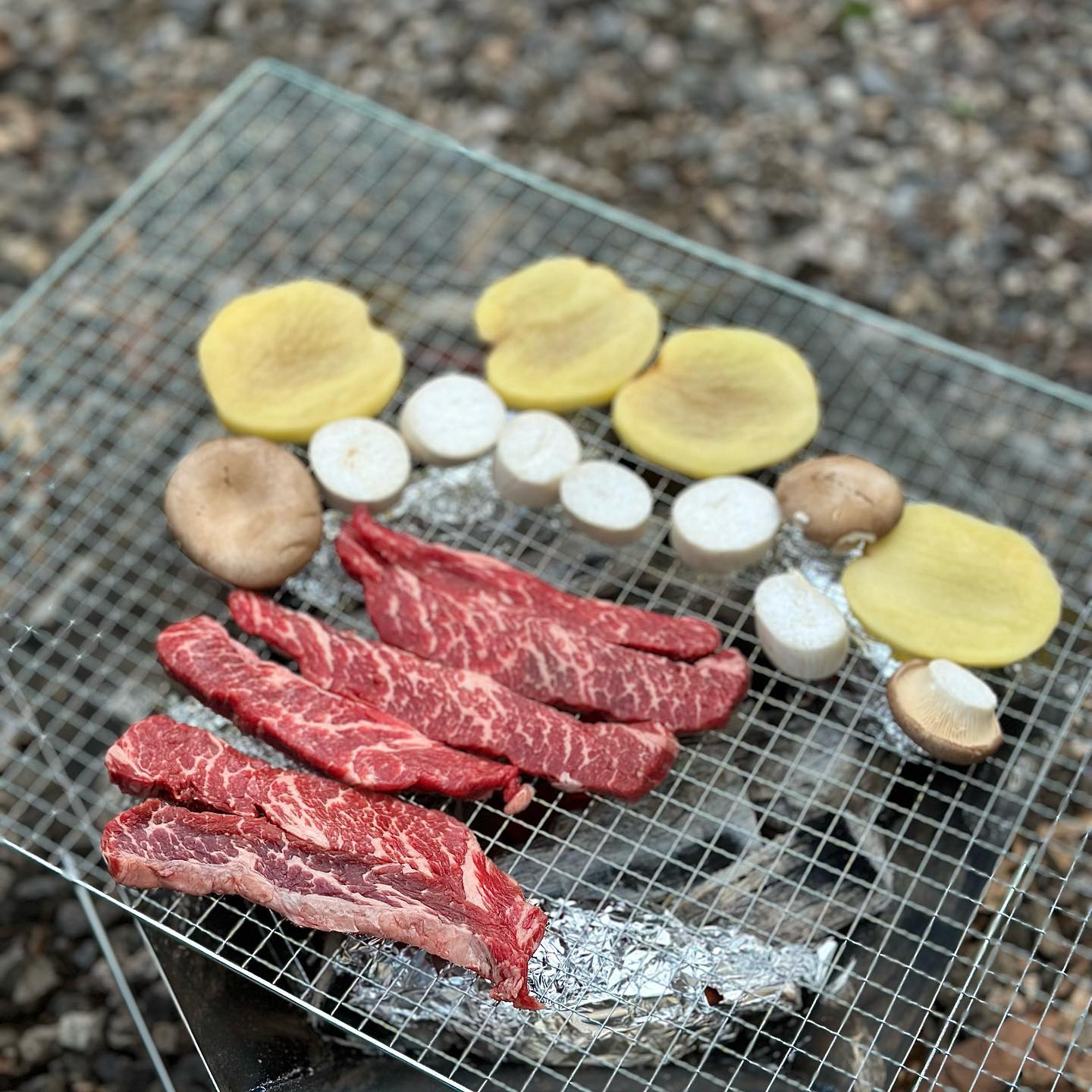 나의 첫 #에어텐트 #제드티맥스ex에어 와 함께한 #캠핑 성공적 ❤⛺️️‍🔥 

#캠린이 #캠핑초보 #캠핑에빠지다 #캠핑요리 #캠핑스타그램 #캠핑그램 #에어텐트첫개시 #캠퍼 #캠퍼소통 #텐트추천 #제드 #제드코리아 #일상그램 #데일리그램 #좋아요 #좋아요반사 #소통해요