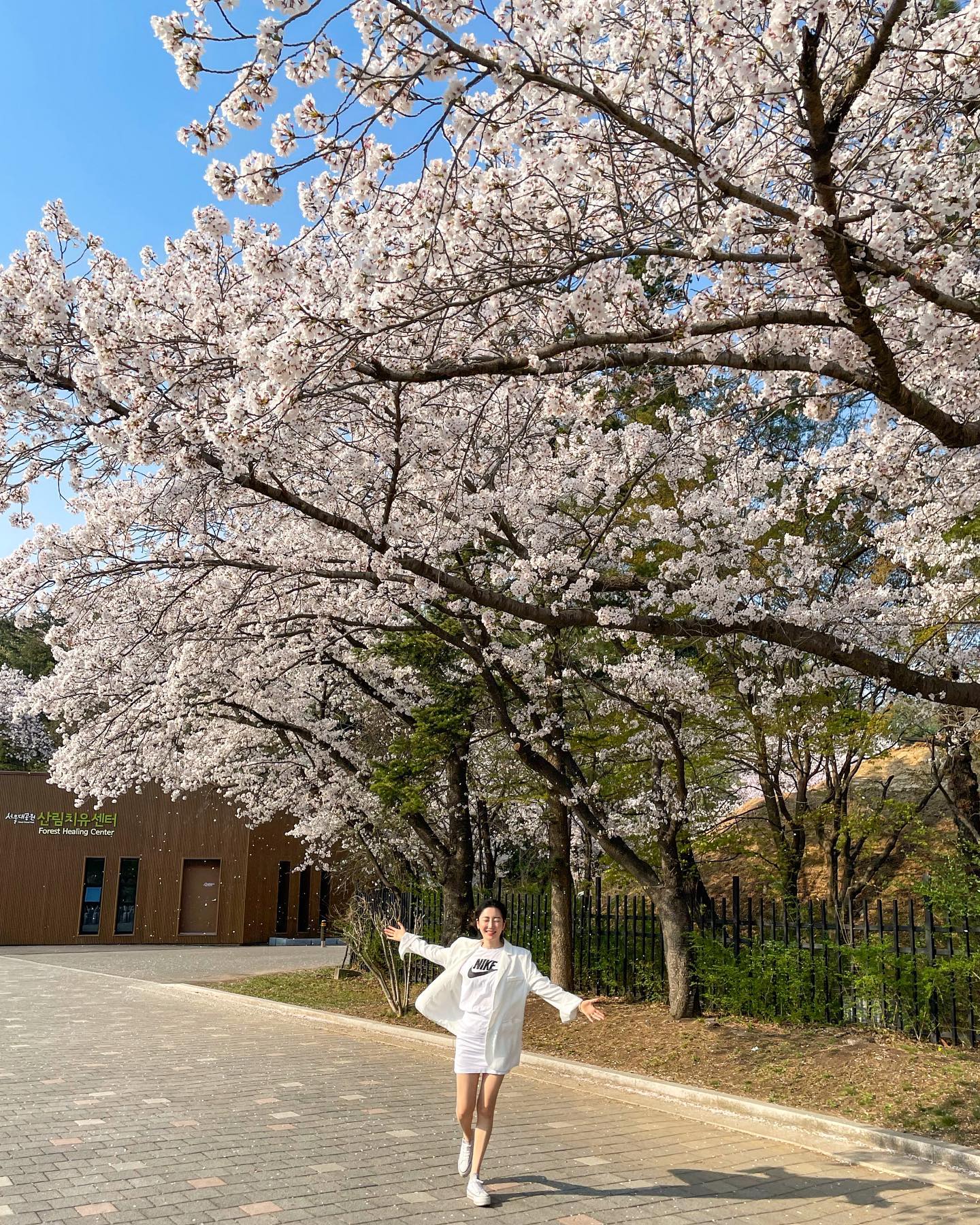 봄이니까, 꽃비 맞으며🌸