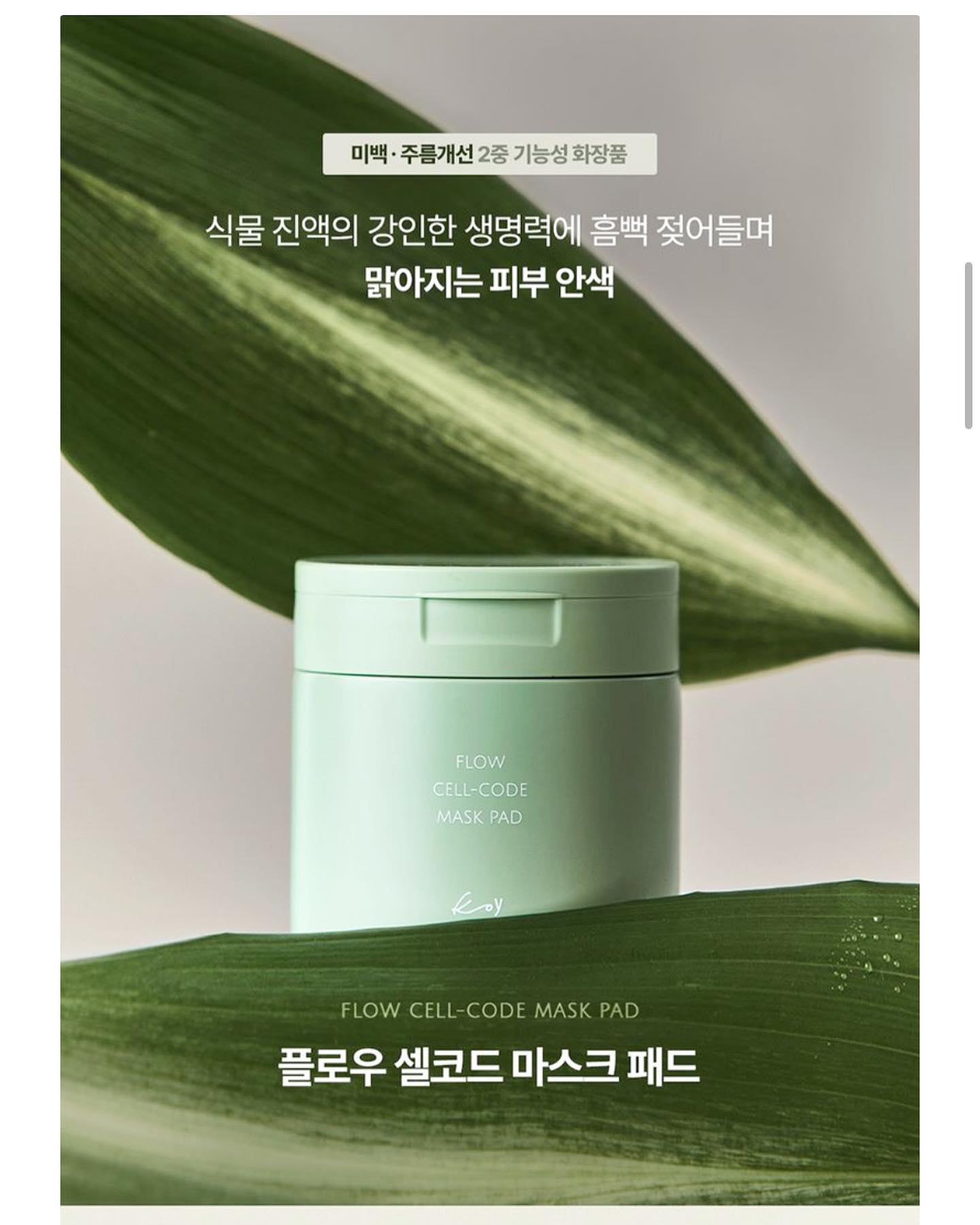 써보고싶었던 거🤍