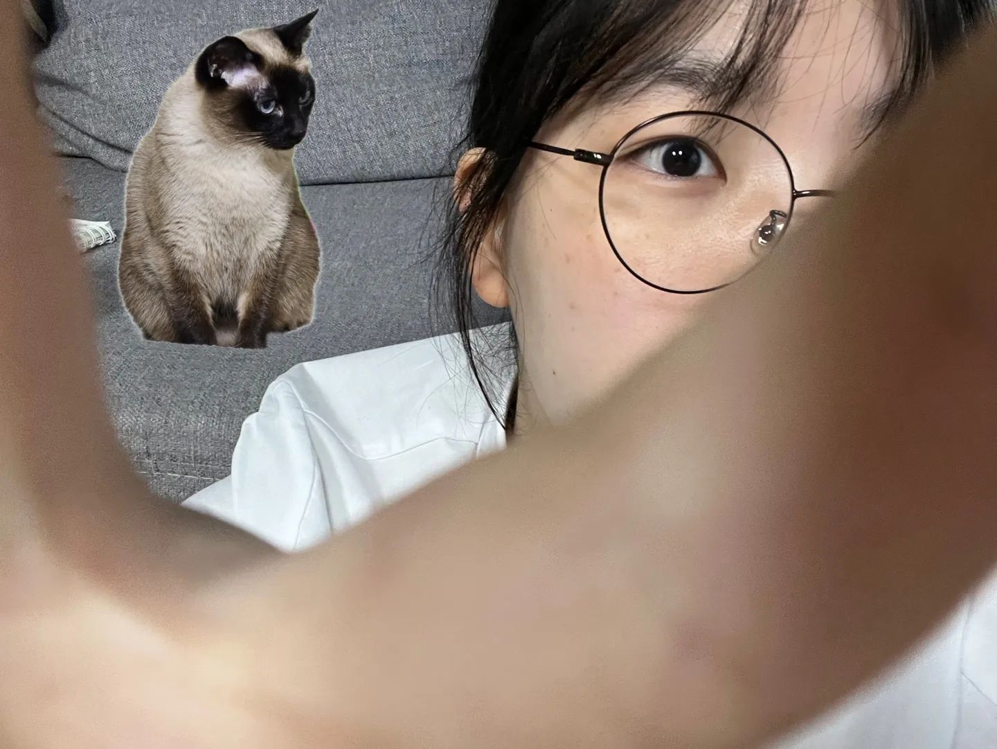 날 쳐다보는 고양~❤️‍🔥(^。^)y-~