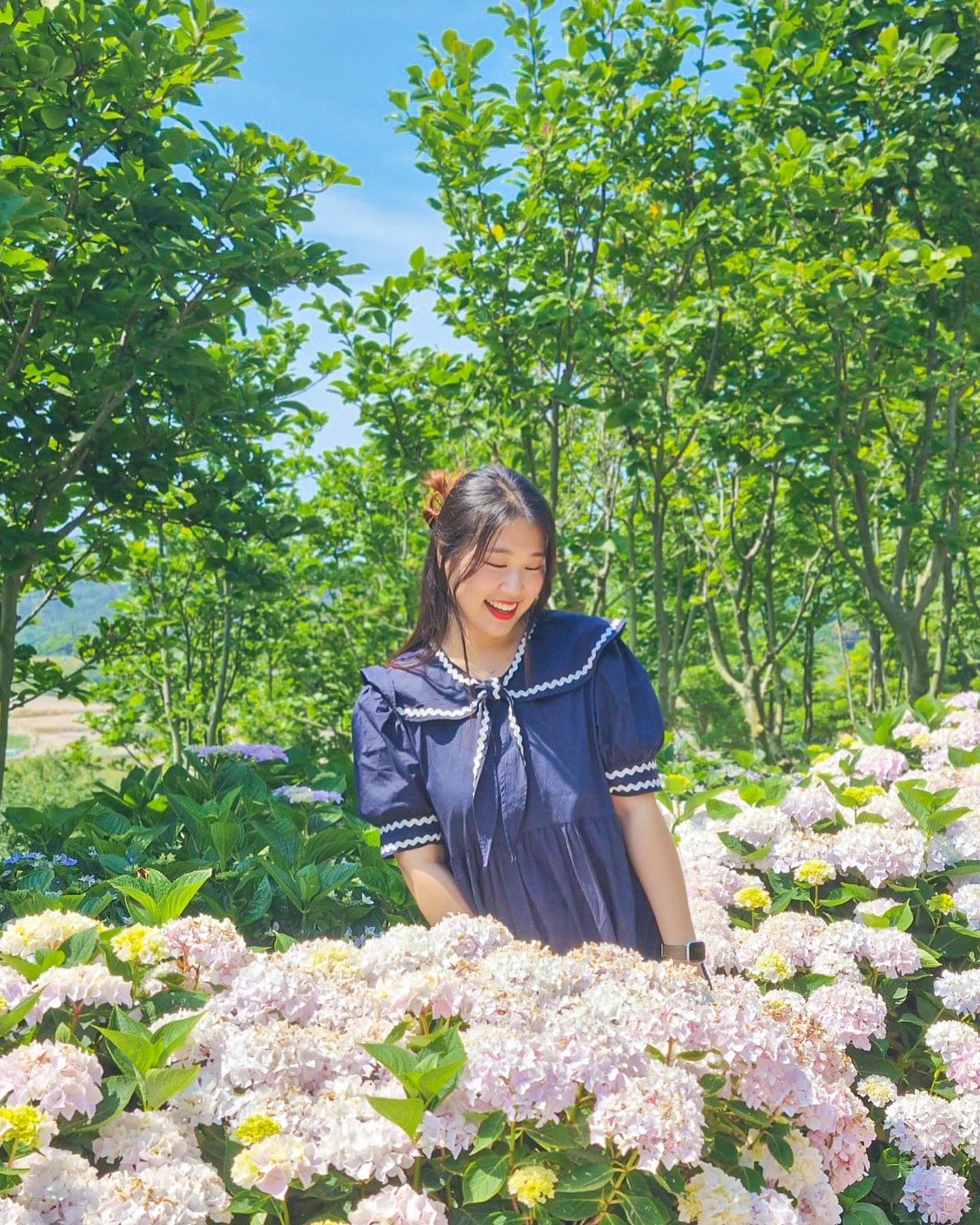 ⠀⠀⠀⠀⠀⠀⠀
신안 수국💙
수국에 둘러쌓여 처음으로 수국여행했어요💜
⠀⠀⠀⠀⠀⠀⠀
#수국공원
800만송이가 만개하는 도초도 수국축제
익숙하면서도 낯선 수국들로 구경하면서 사진찍는 재미가 넘쳤던 곳이었는데 이번 주말이 만개해서 정말 예쁠 것 같아요💜
⠀⠀⠀⠀⠀⠀⠀
#팽나무10리길 
작은 수국들이 만개하면 아름다운 곳인데 방문했을 때(6/16) 만개하지 않아서 아쉬웠어요 ㅠㅠ 그래도 보라보라한 수국더미들에서 찍을 수 있었어요!
중간중간 휴식을 취할 수도 있고, 그늘이 형성된 곳이라서 쉬엄쉬엄 10리를 걷다보면 수국공원에 도착할 수 있어요!
⠀⠀⠀⠀⠀⠀⠀
#자산어보촬영지
도초도 여행자들의 필수 코스로 꼽히는 영화 ‘자산어보’와 드라마 ’슈룹’ 촬영지인데요. 프레임속에 담긴 끝이 보이지 않는 수평선 속에 앉아있는듯한 느낌을 담을 수 있었어요! 다음에는 일몰시간에 방문해보고 싶어졌어요🌅
⠀⠀⠀⠀⠀⠀⠀
🛳️암태-비금
비금도에 가는 방법은 2가지가 있는데
1. 목포-비금
2. 암태-비금 ✅
저는 암태에서 비금도를 들어가는 배를 탔어요 ◡̈ 약 4-50분정도 소요됩니다!
⠀⠀⠀⠀⠀⠀⠀
신안 도초도는 올해 강소형잠재관광지로 선정되어 많은 방문객들의 발길이 끊이지 않는 곳인데요!
#디지털관광주민증 발급을 통해 숙박/식음료/입장 등에서 혜택 받으며 여행해보세요💜