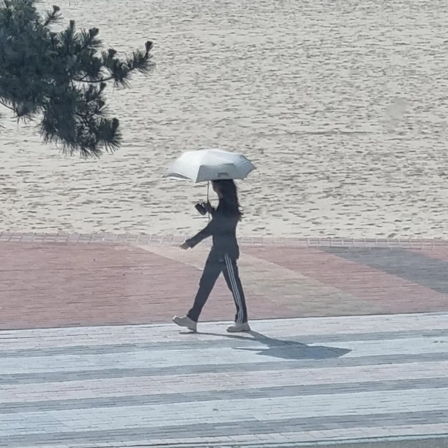 🔥도갱 포항나들이🔥
ㄴ 핫플은 구석구석 다 다녀감
ㄴ 호텔은 고풍스럽기 그지 없었음
ㄴ 등대박물관 생각보다 꿀잼이었음
.
.
.
#인스타그램#instagram#일상스타그램#포항여행#일상#daily#대학생#포항#영일대해수욕장#호미곶#26#98년생#호캉스