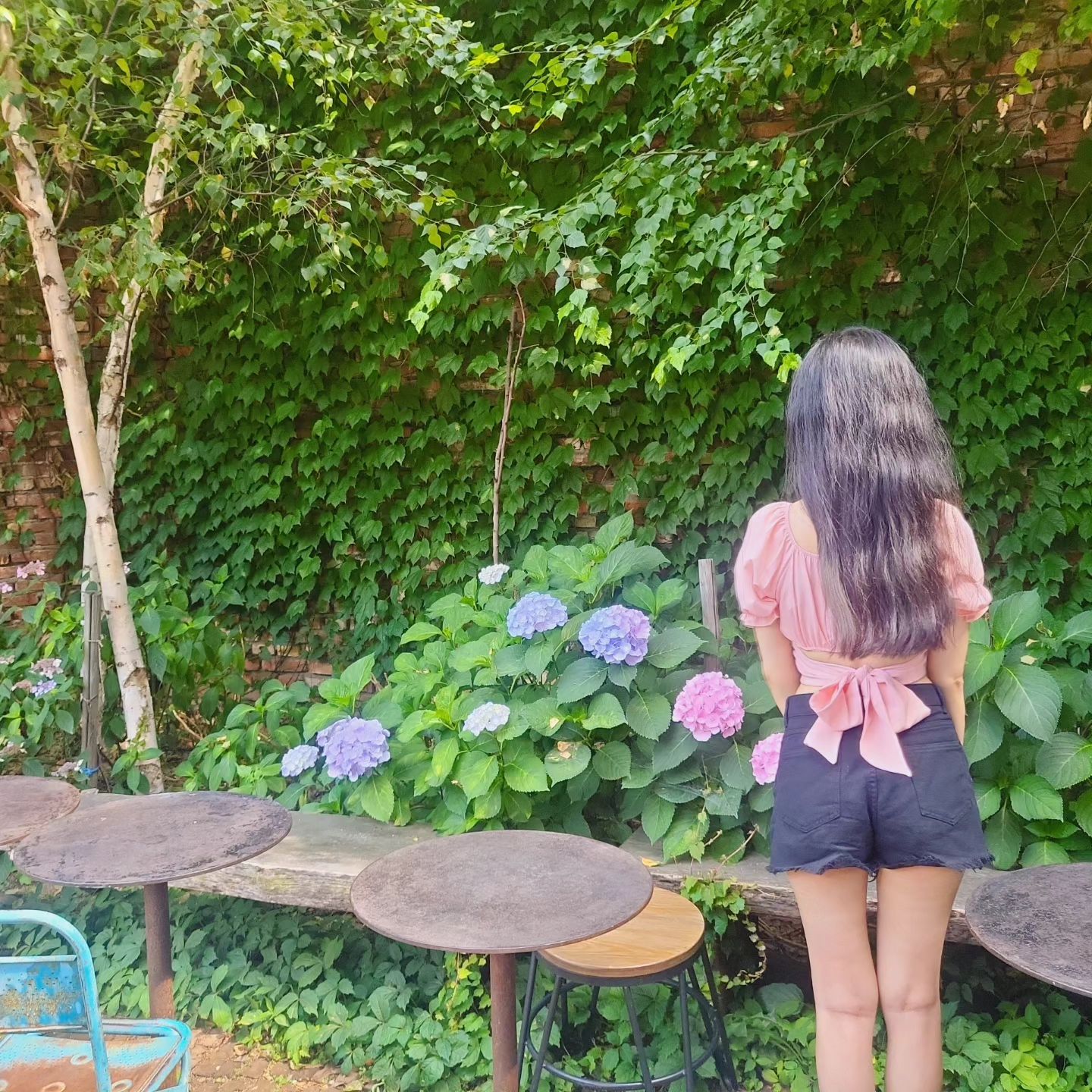 6차도키도키
#수국 보러다녀왔담