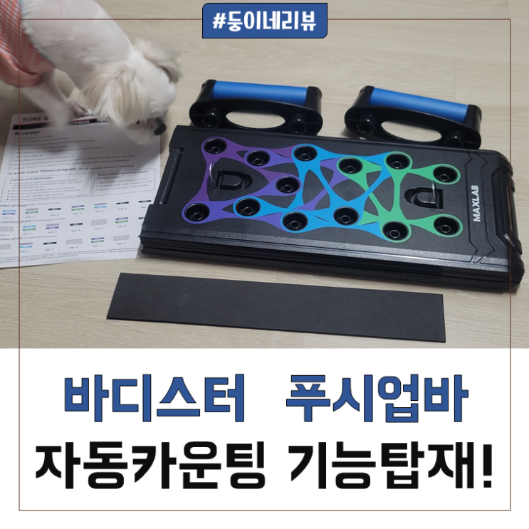 여자 무릎대고 팔굽혀펴기 효과 팔뚝 운동 집에서하기!