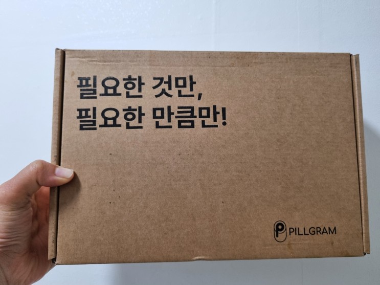 필그램 영양제구독 후기 맞춤영양제 영양제상담